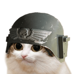 user avatar image for vim_wizard