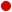 poll option icon