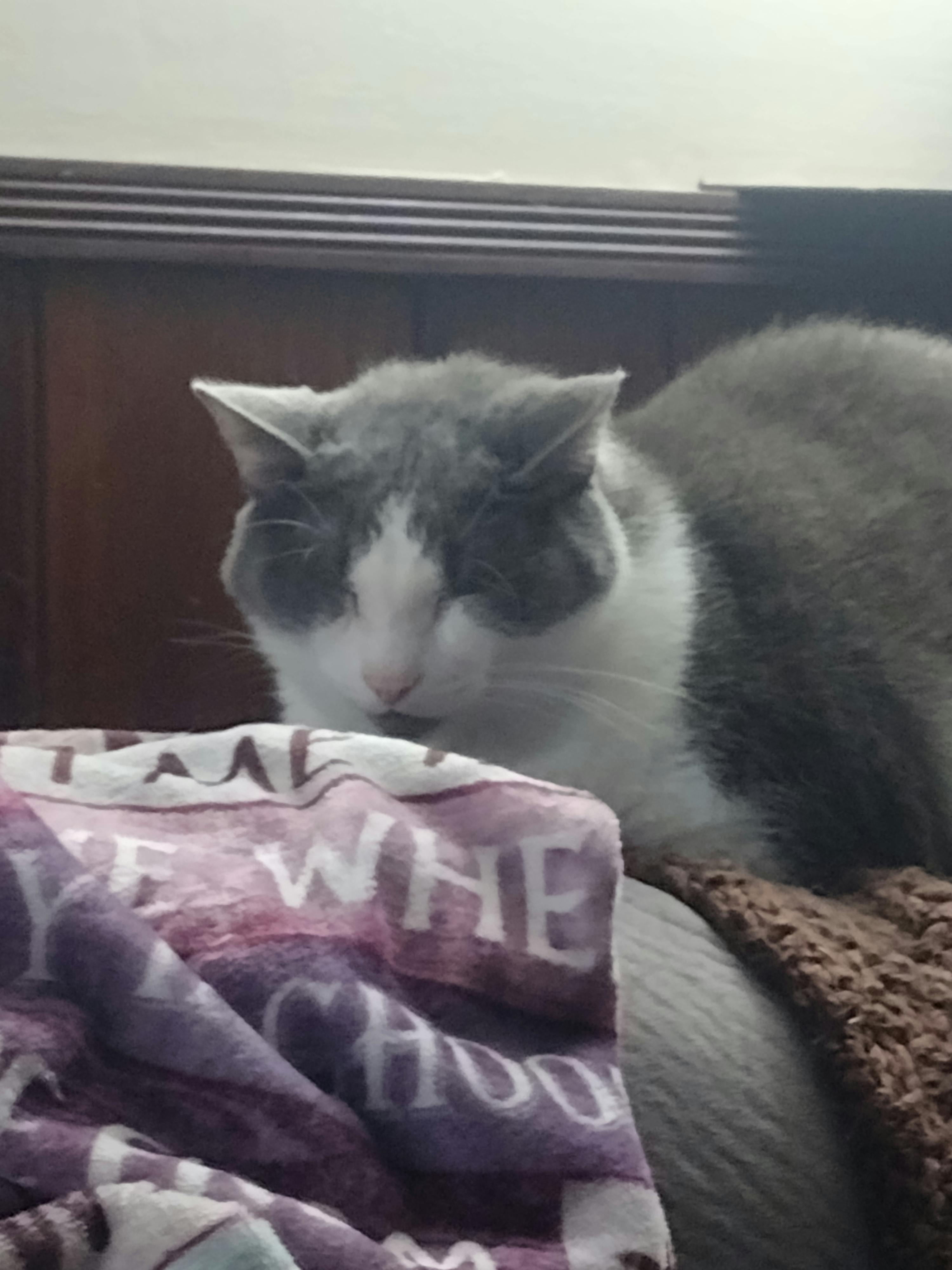 user avatar image for Madame_Mom