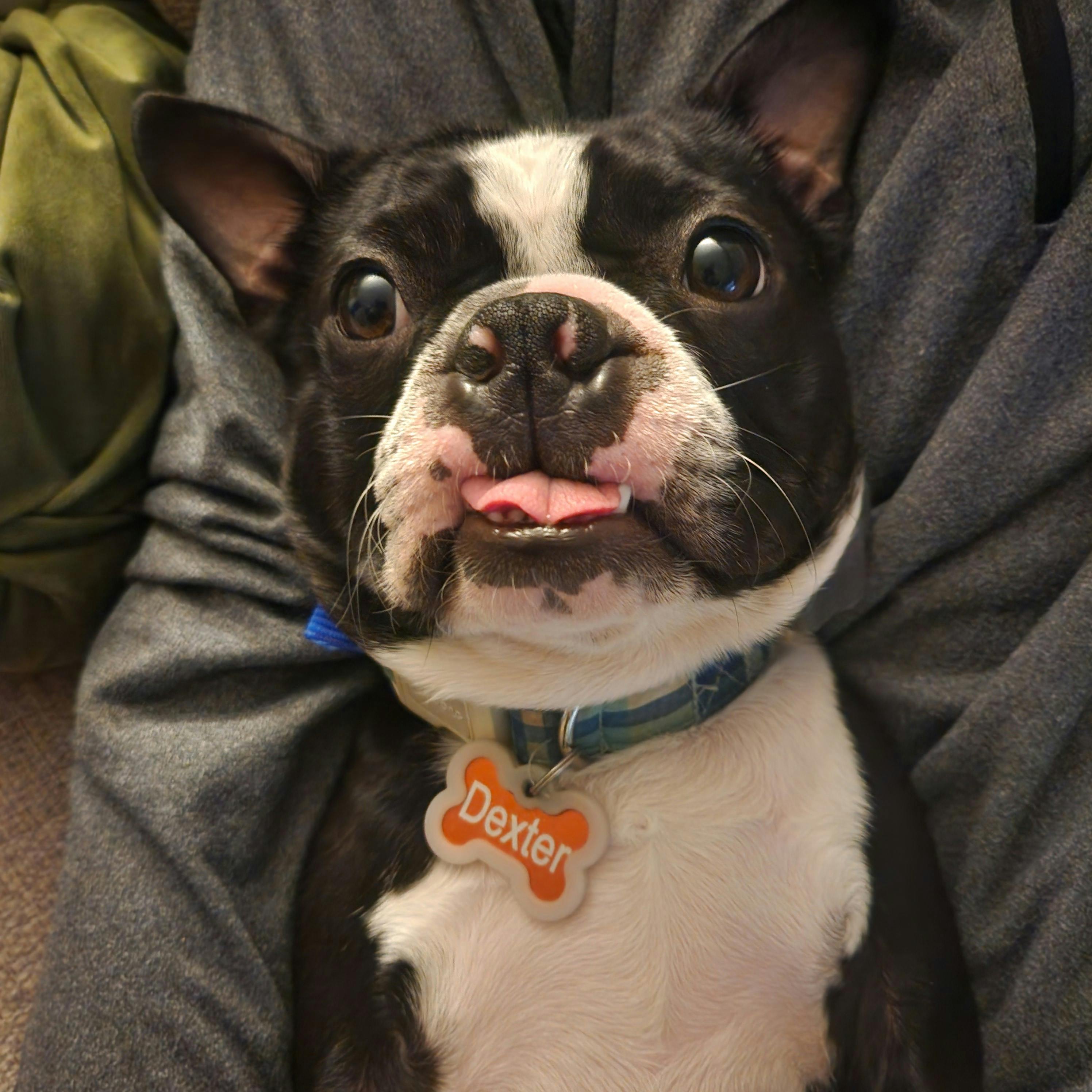 user avatar image for Lana Greene 