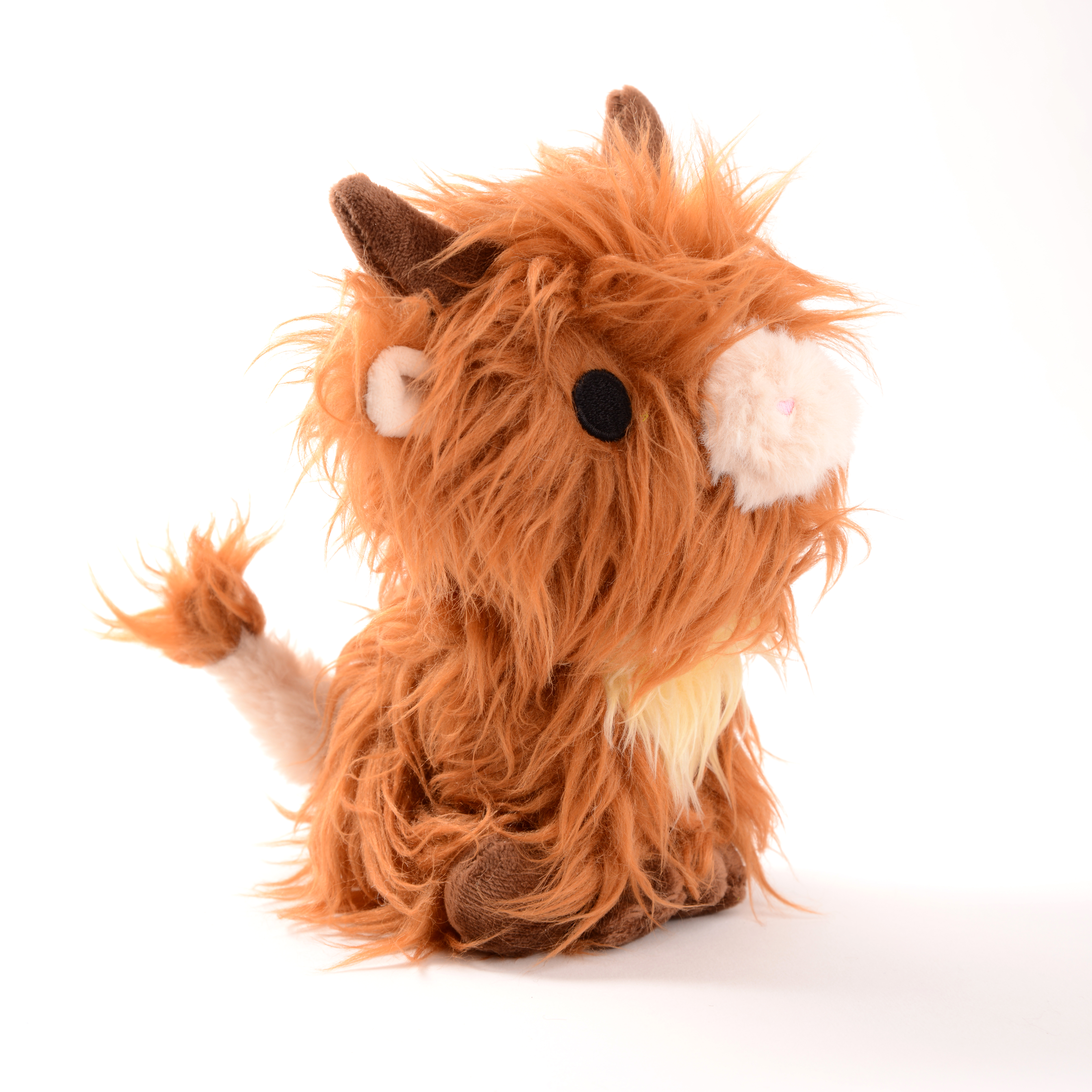 Highland Cow