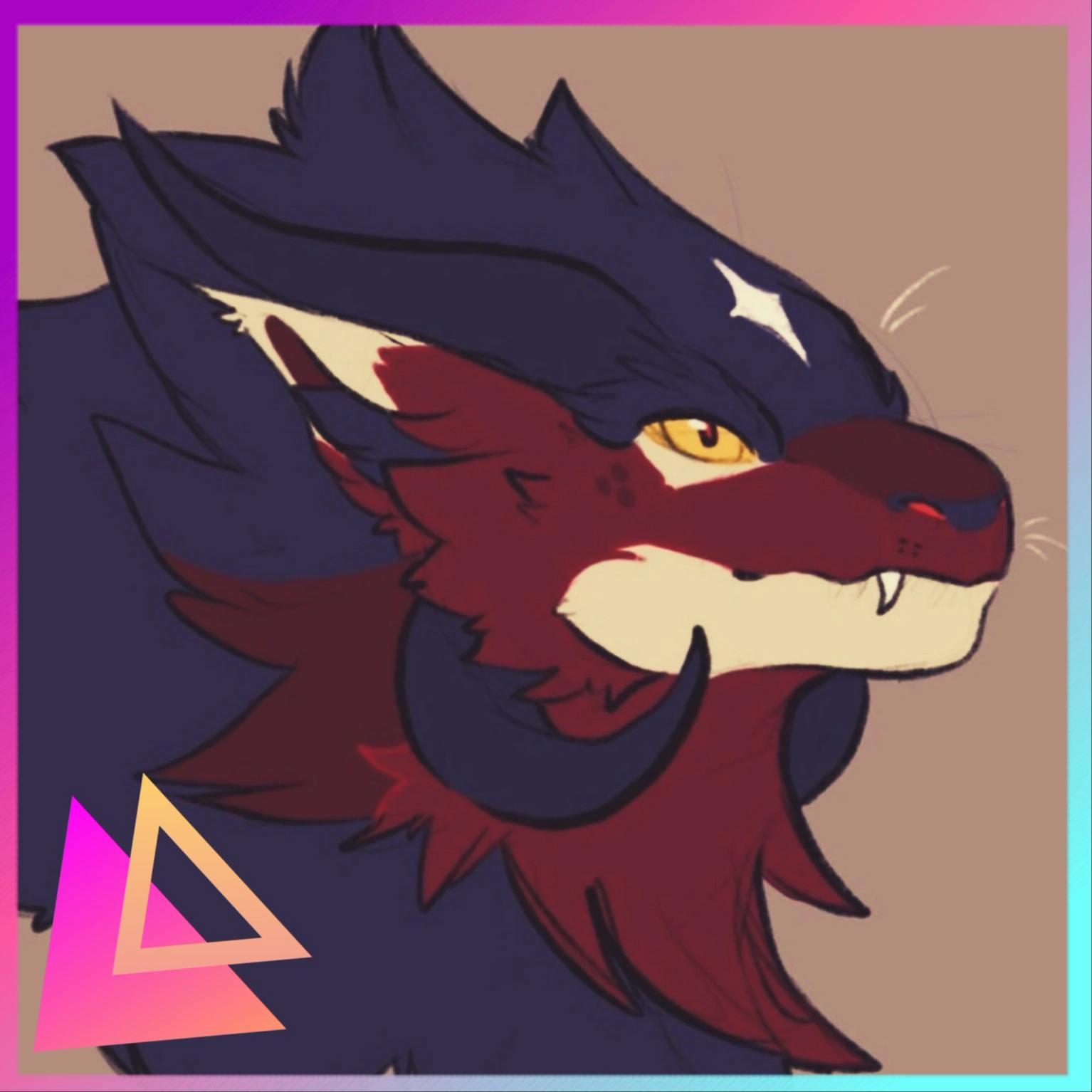 user avatar image for Asche