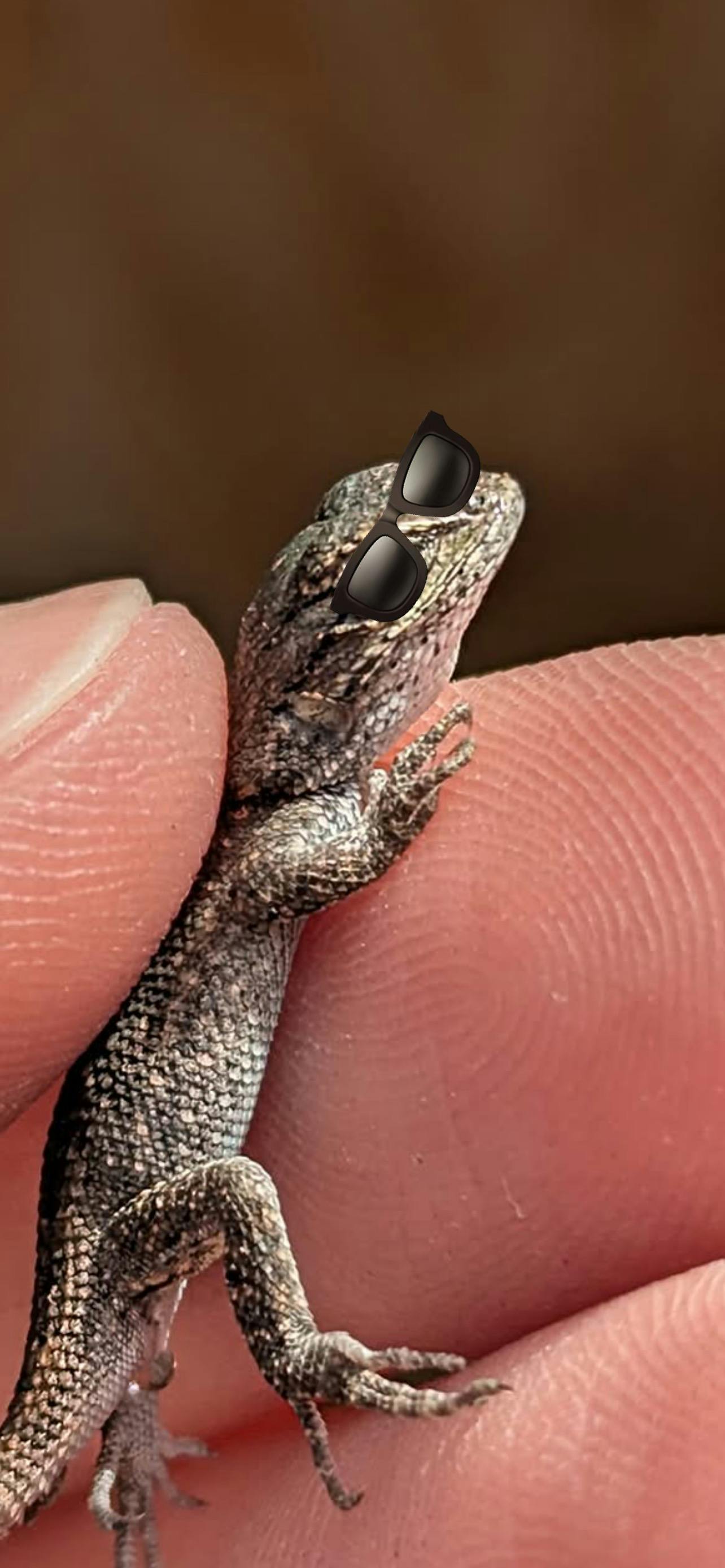 user avatar image for McKerr