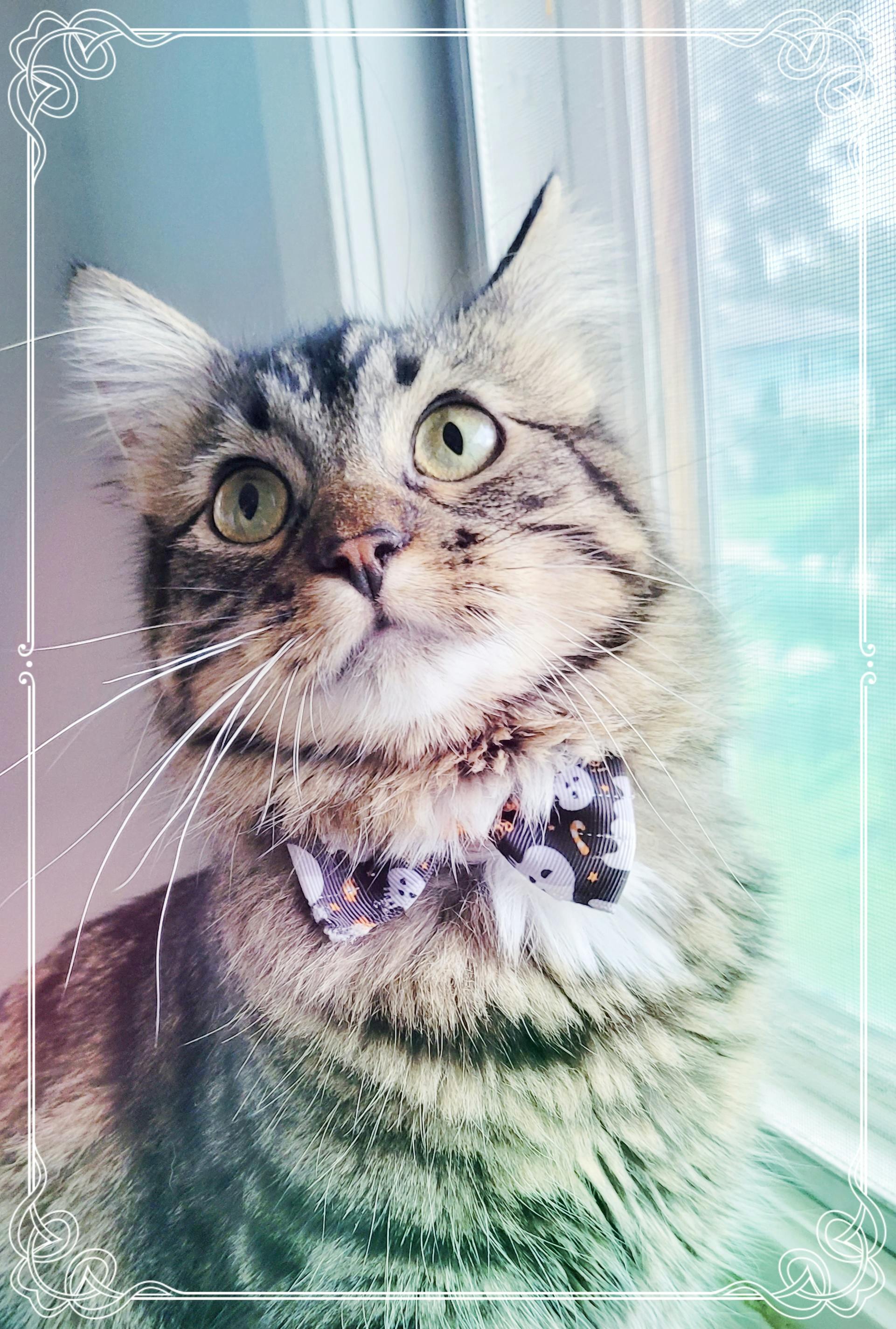 user avatar image for Polar