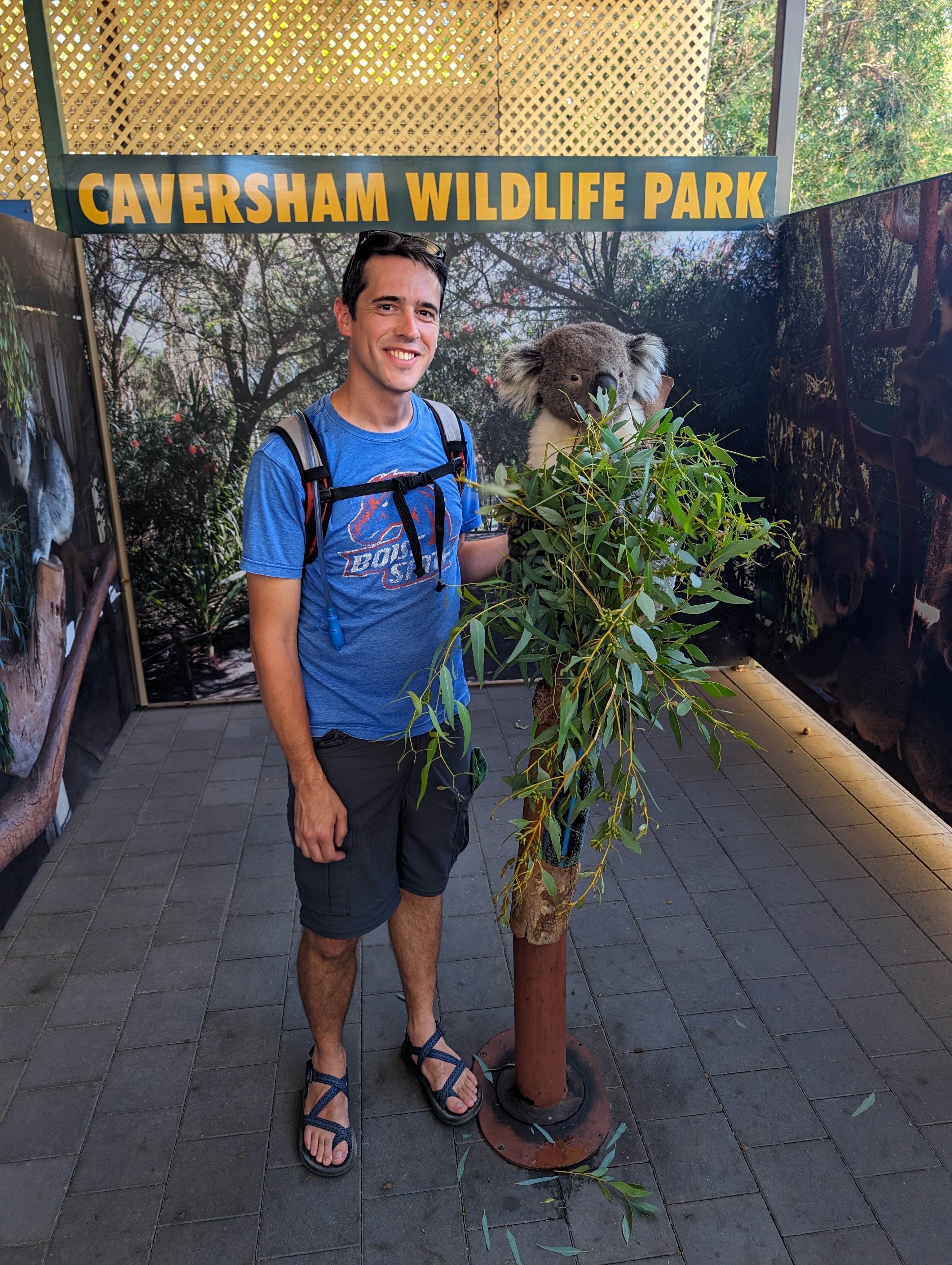 user avatar image for Spencer Cowan