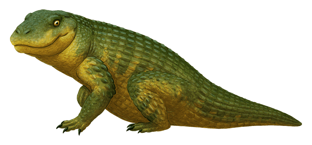 Simosuchus