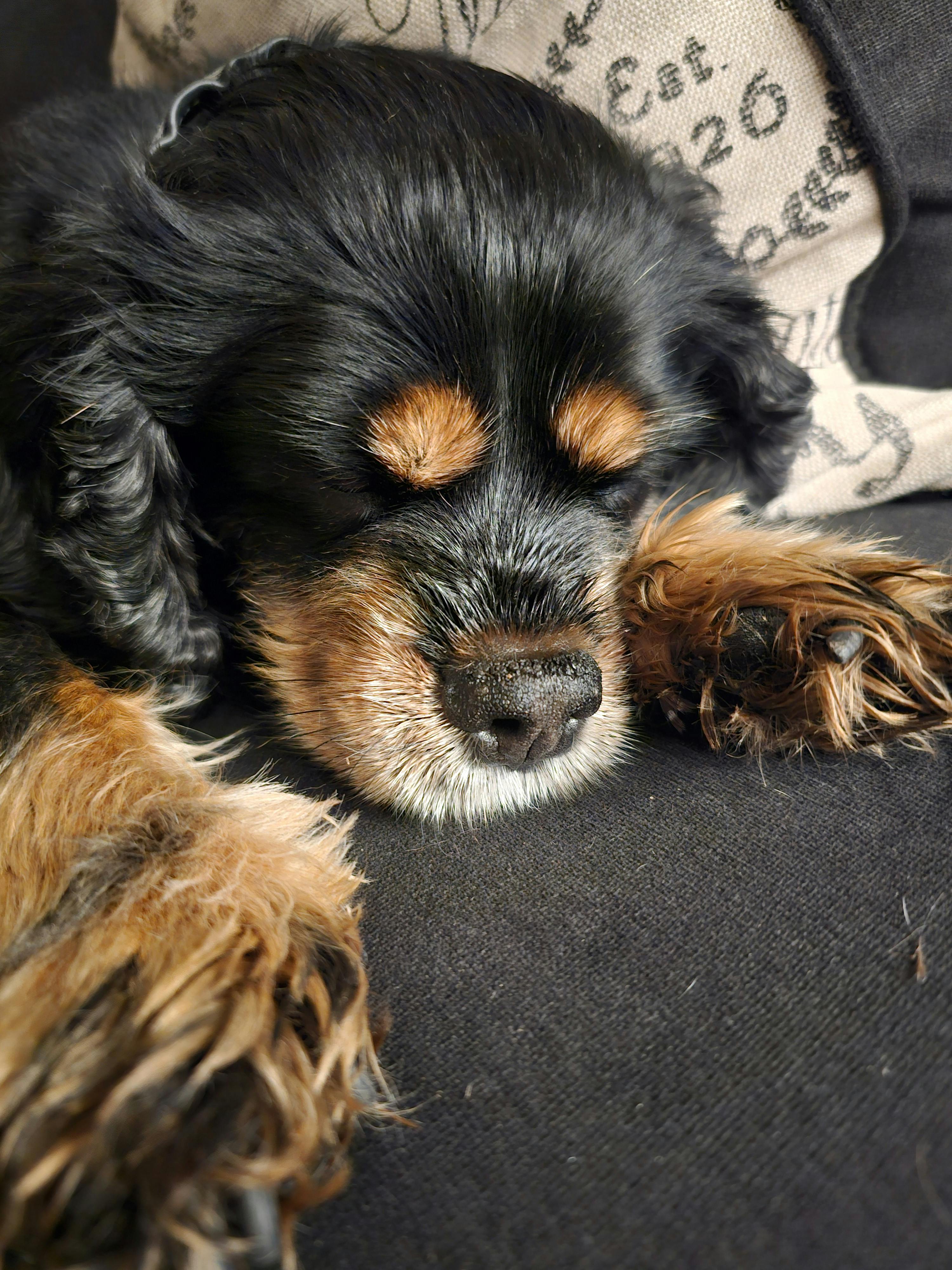 user avatar image for David N. Taylor