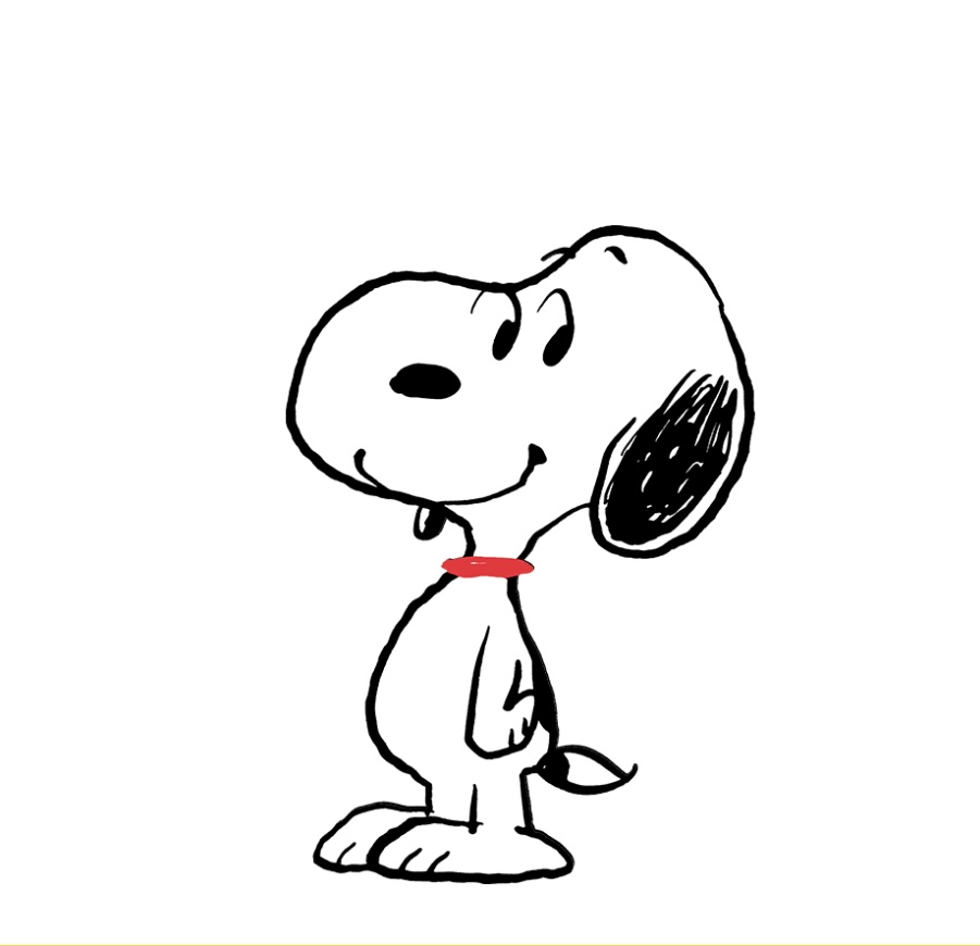 user avatar image for SAB