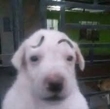 user avatar image for Brook