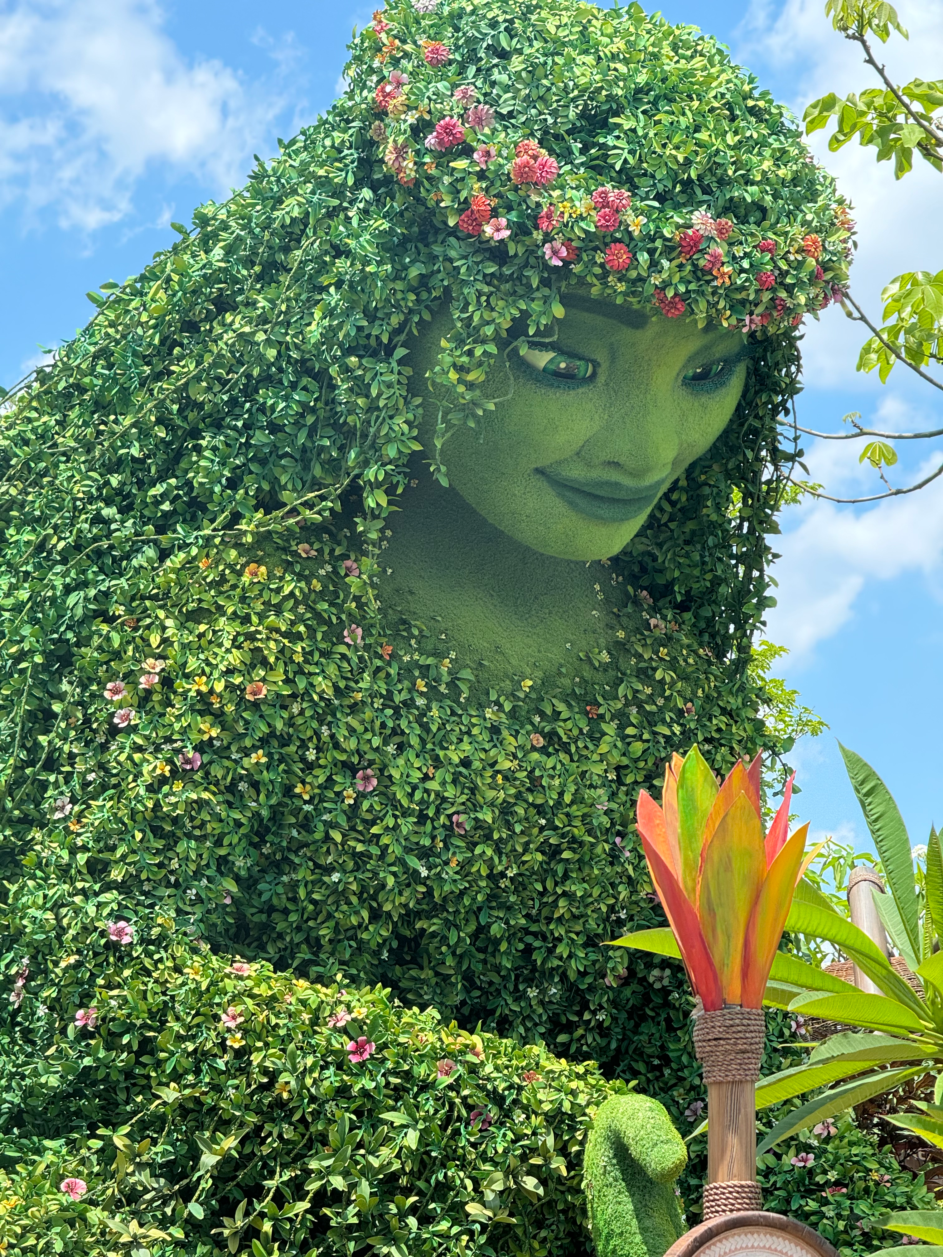 user avatar image for Acire