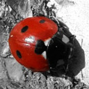 user avatar image for Akai-Anna