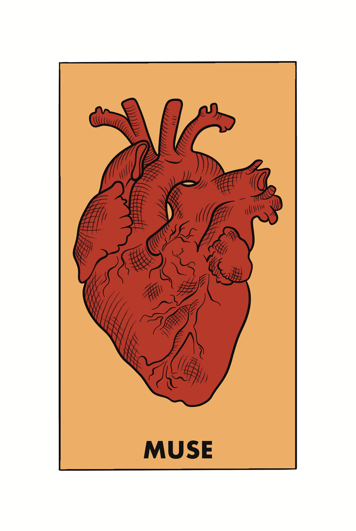 user avatar image for Harlow C.