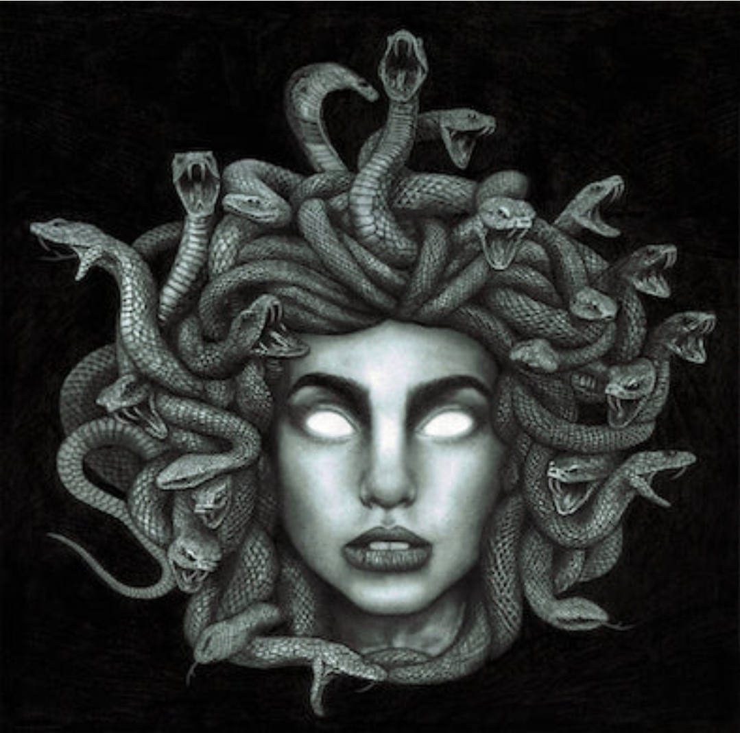 user avatar image for Suzy