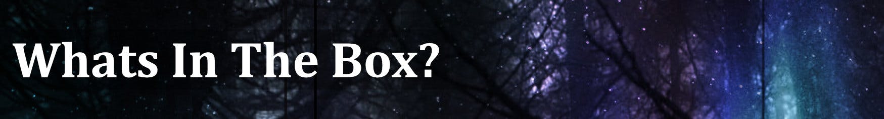 What's In The Box