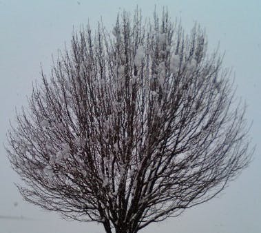 user avatar image for StealthyDruid