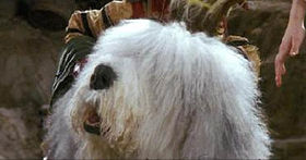 user avatar image for Cat Carter