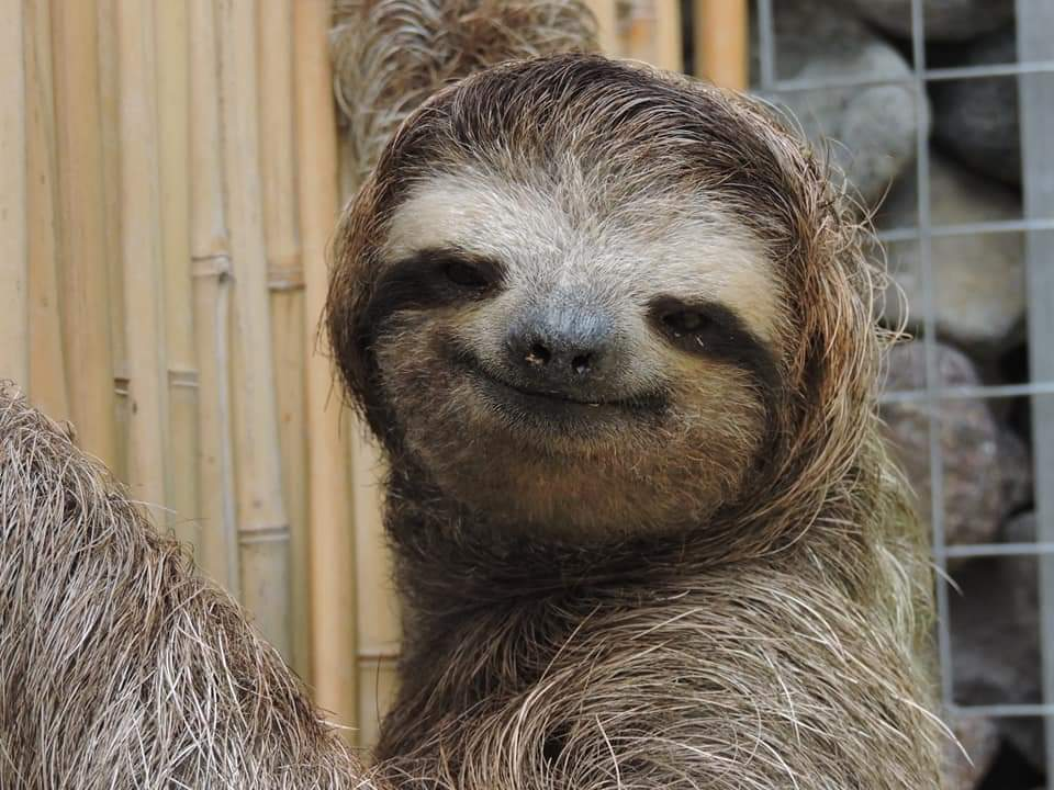 user avatar image for Rainy