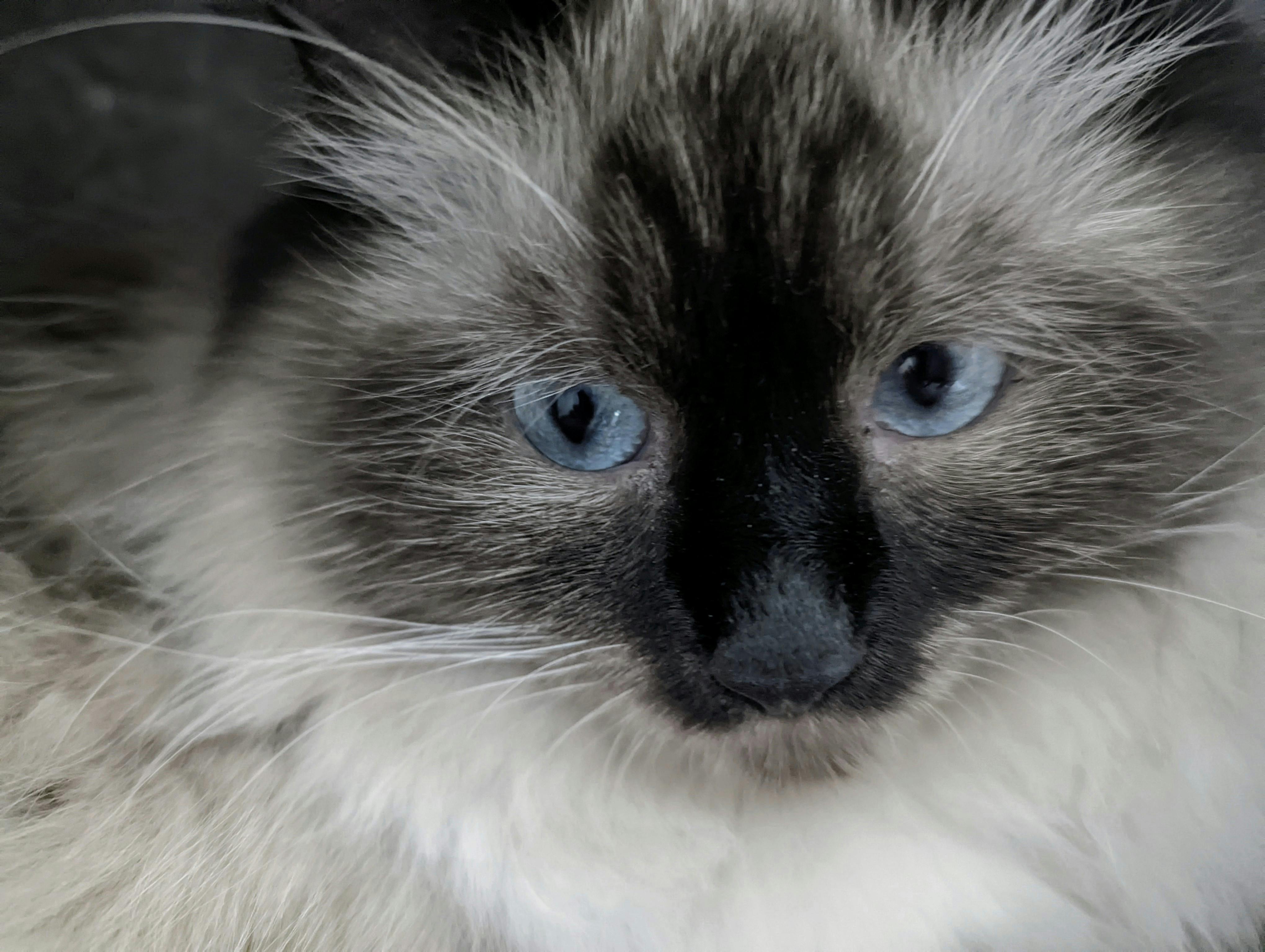 user avatar image for Tyich