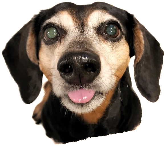 user avatar image for CodyTheGreat7