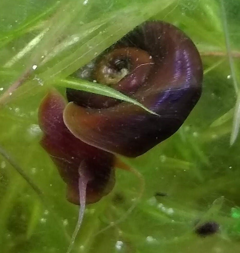 user avatar image for aosmytt