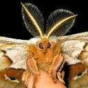 user avatar image for Ewald Grosse-Wilde