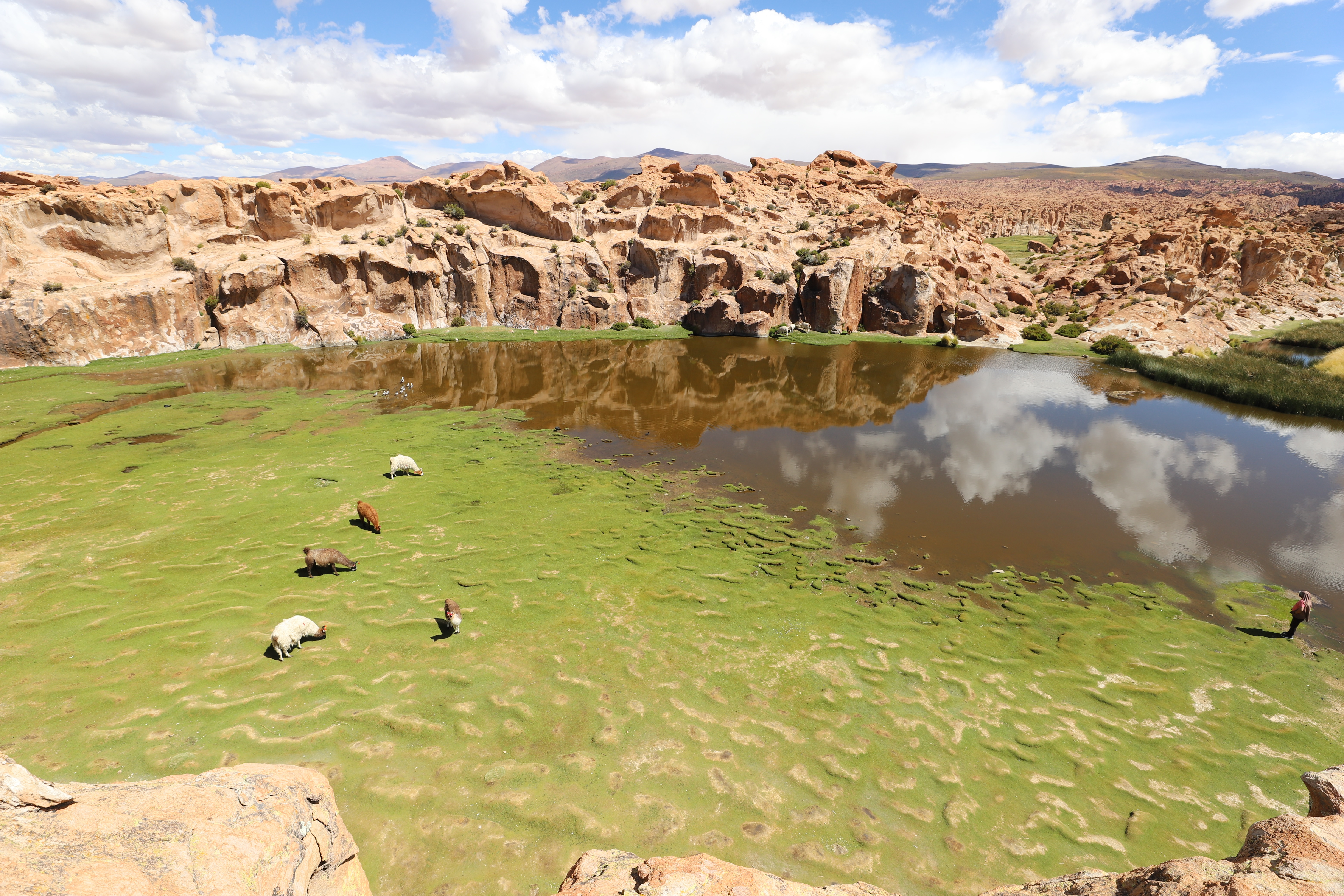 user avatar image for Ben