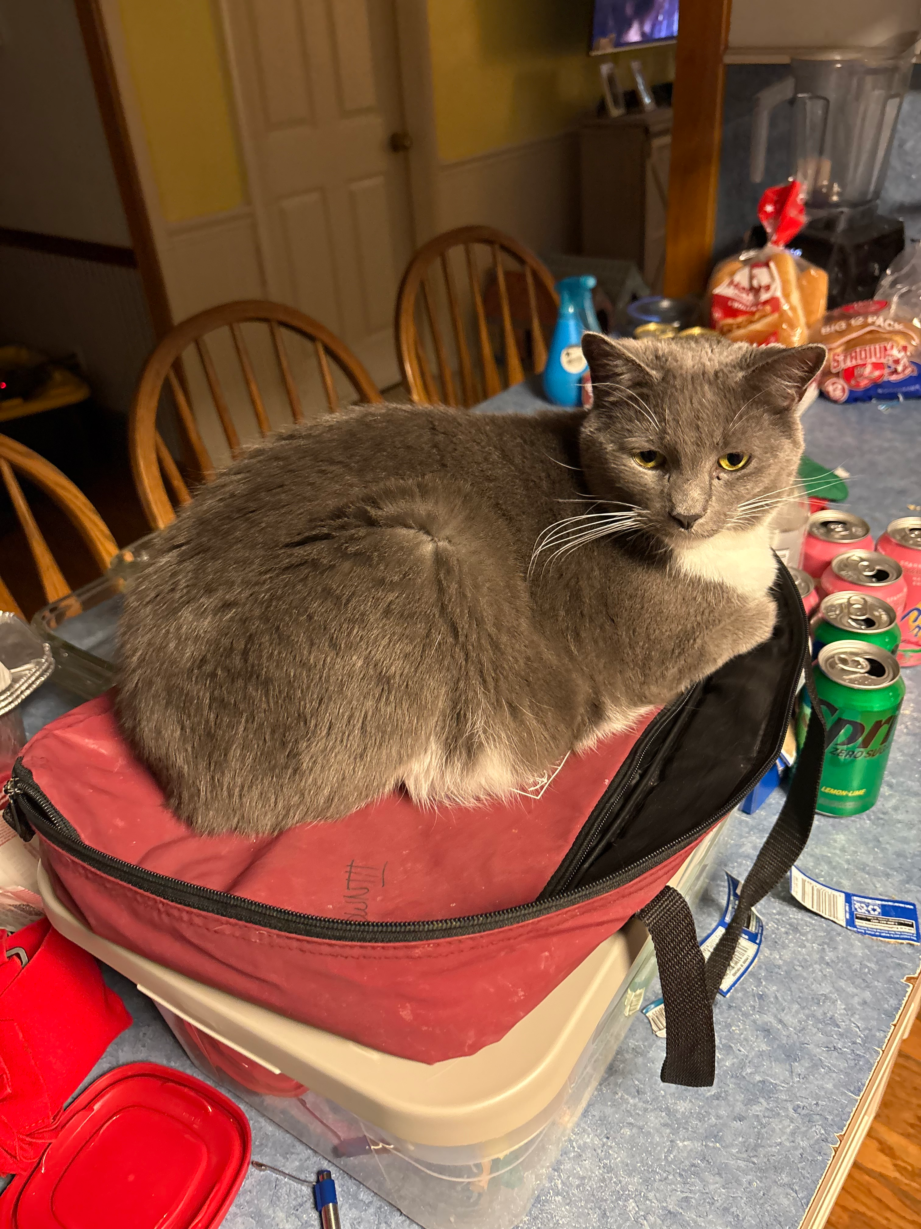 user avatar image for James Brown IV