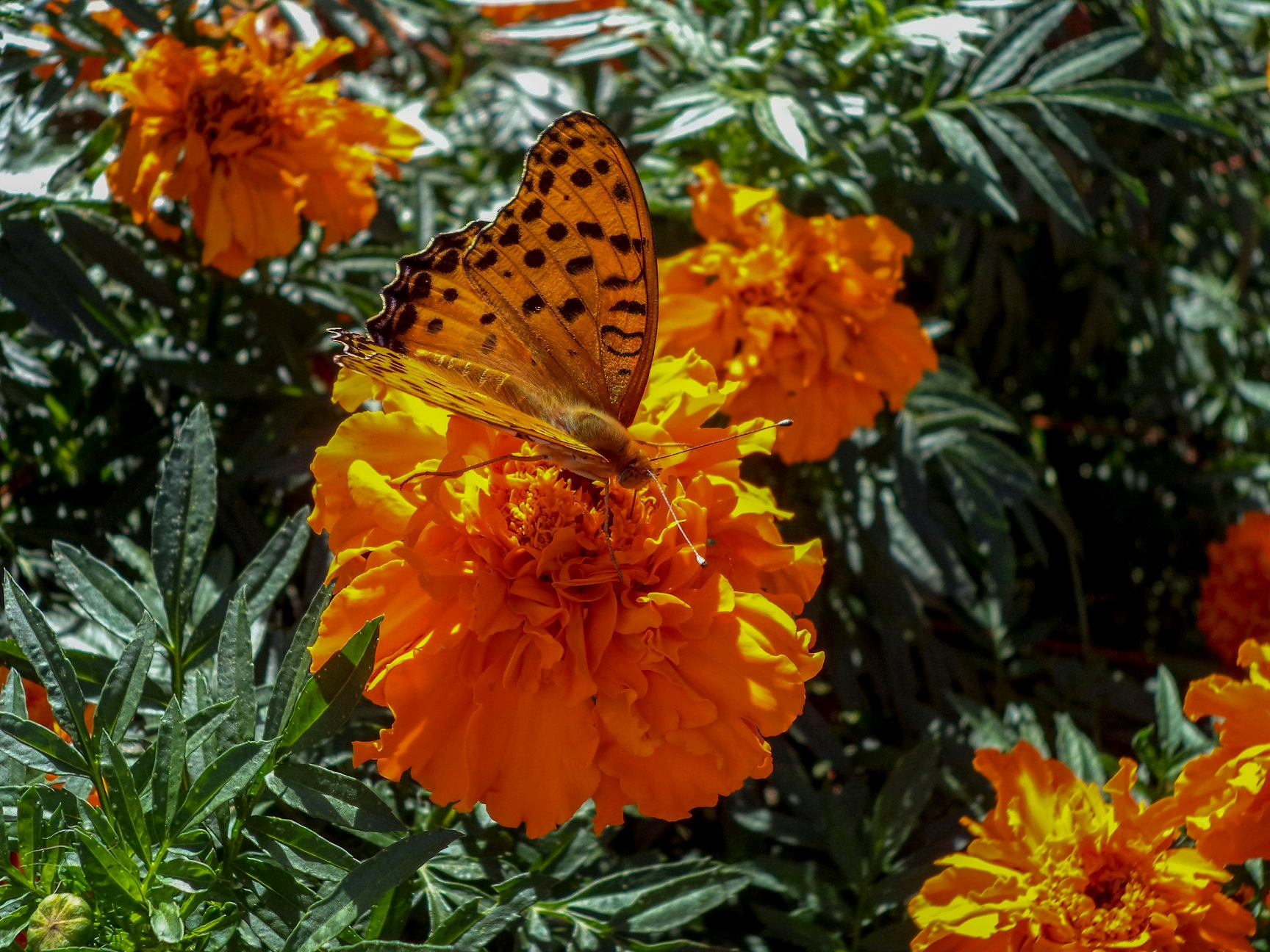 user avatar image for Musicnotes113