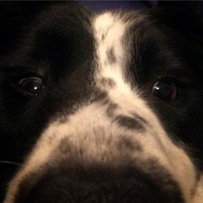 user avatar image for Bronze