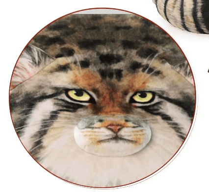 user avatar image for Joe Wright