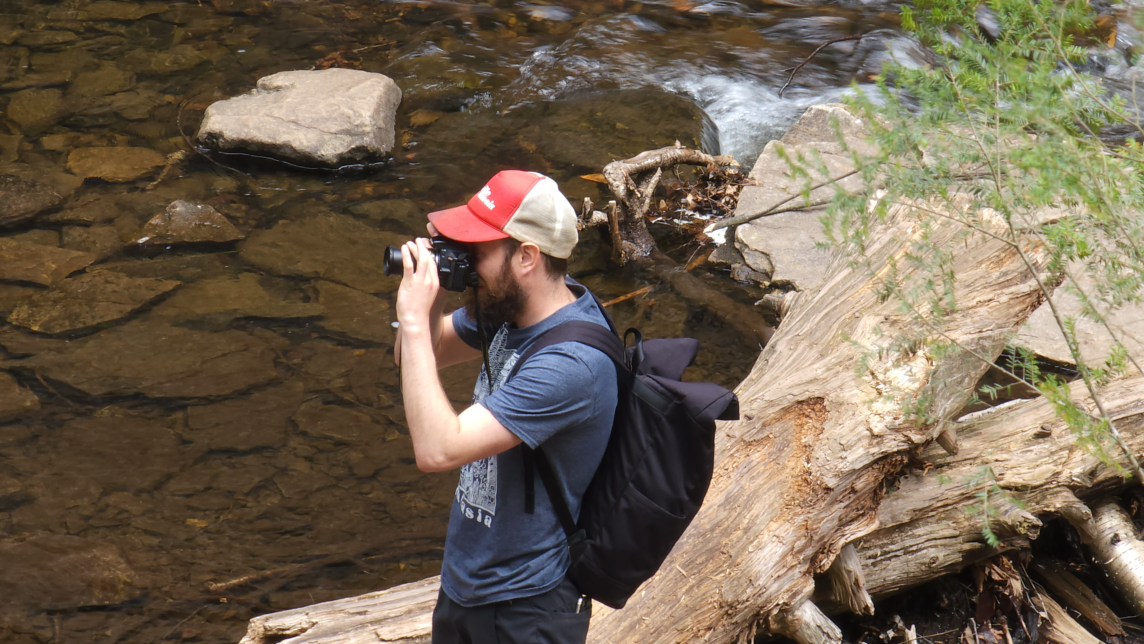 user avatar image for CurlyFrey