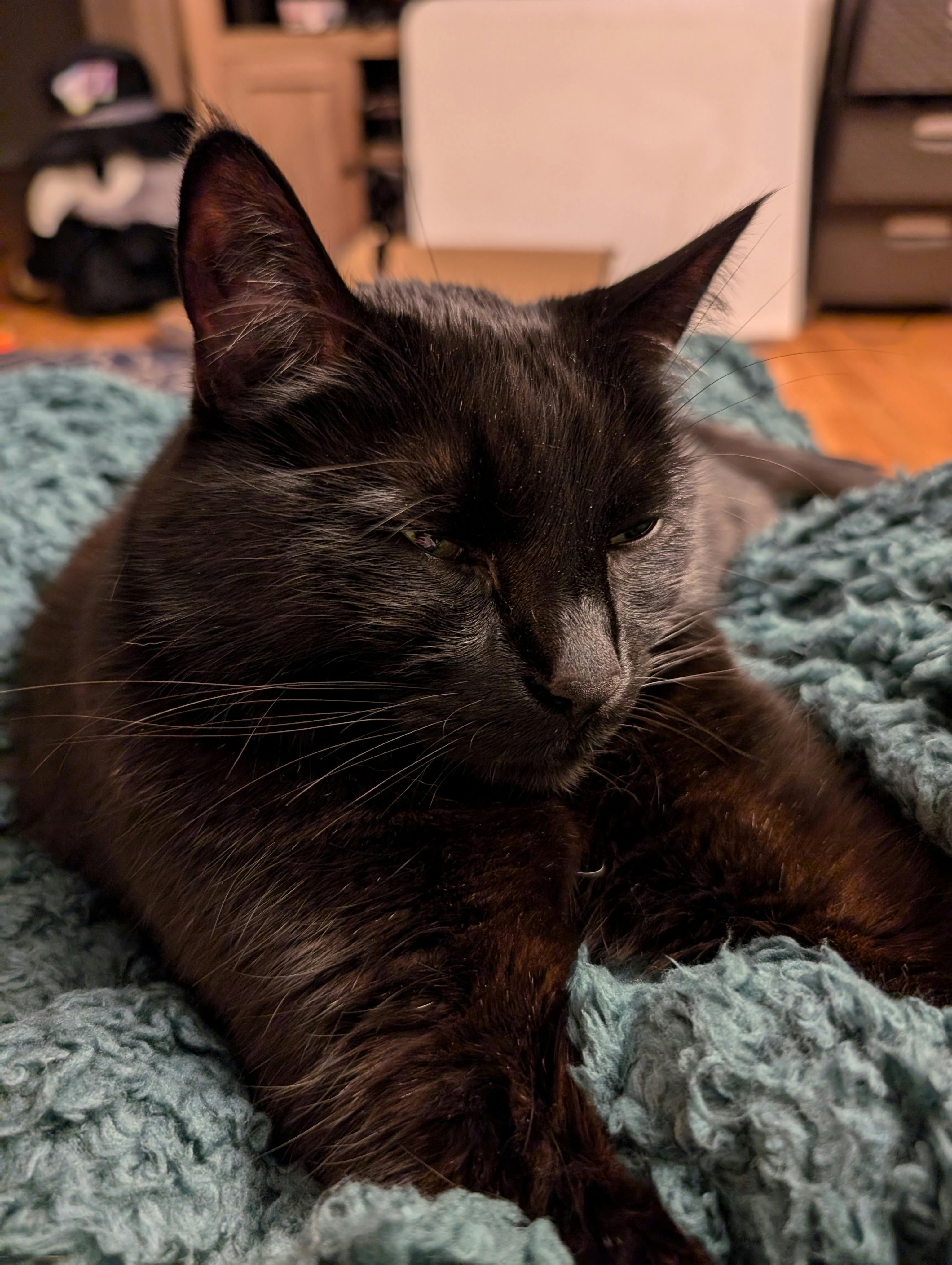 user avatar image for Hanna