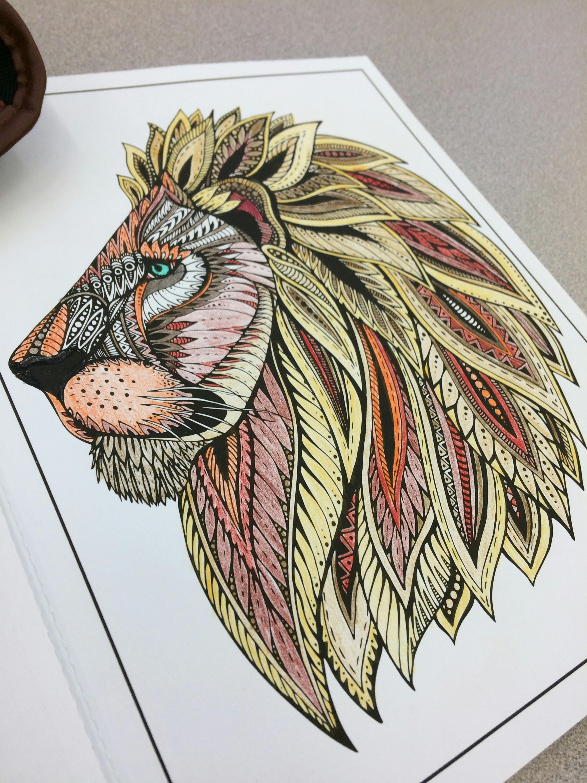 user avatar image for Colleen Lynch