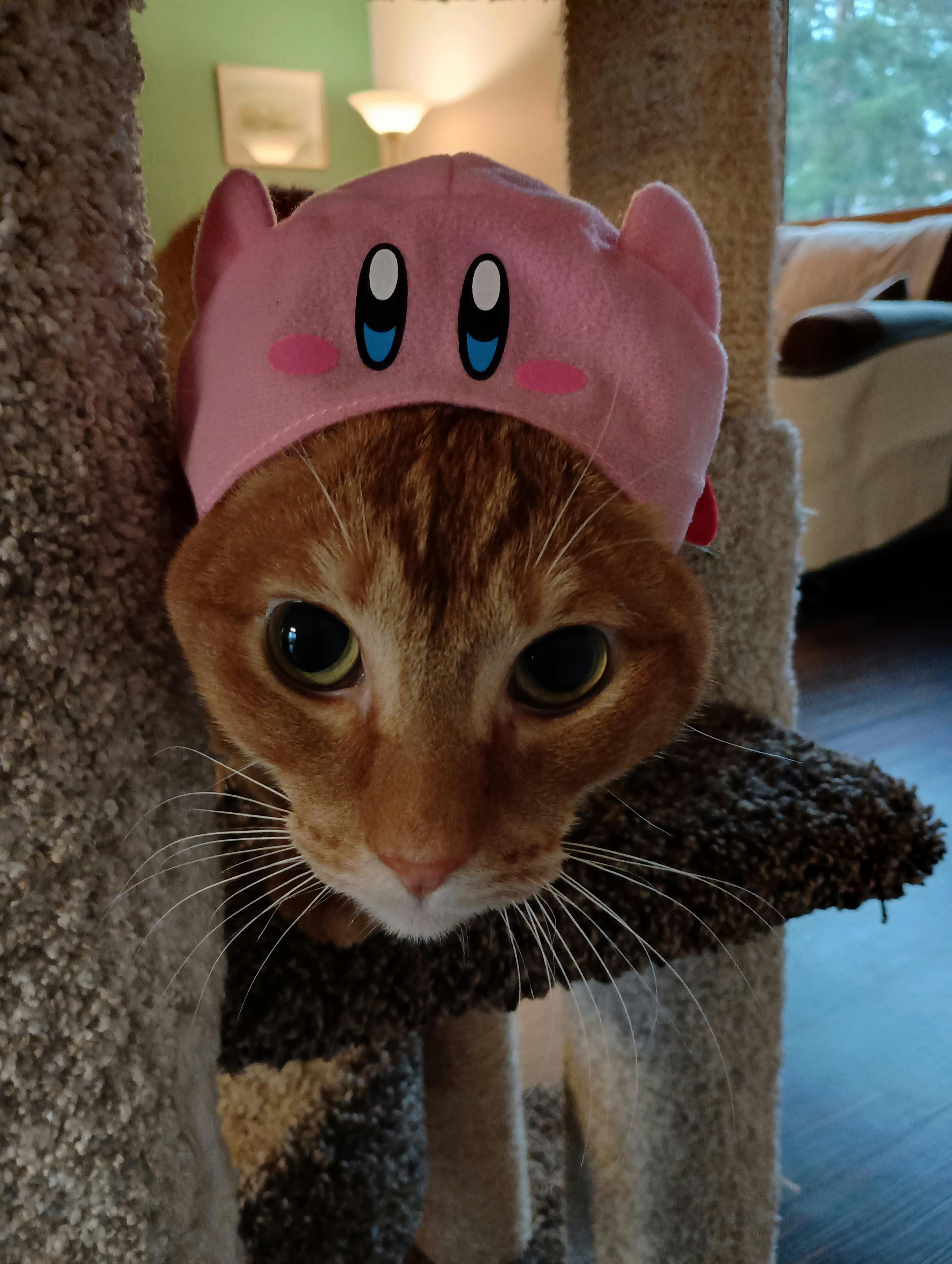 user avatar image for Rachel K.