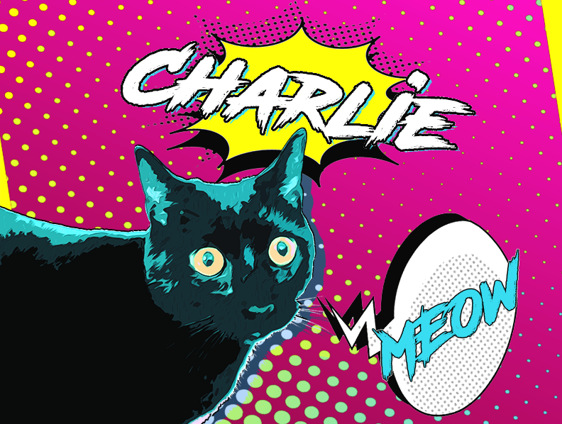 user avatar image for Cheryl