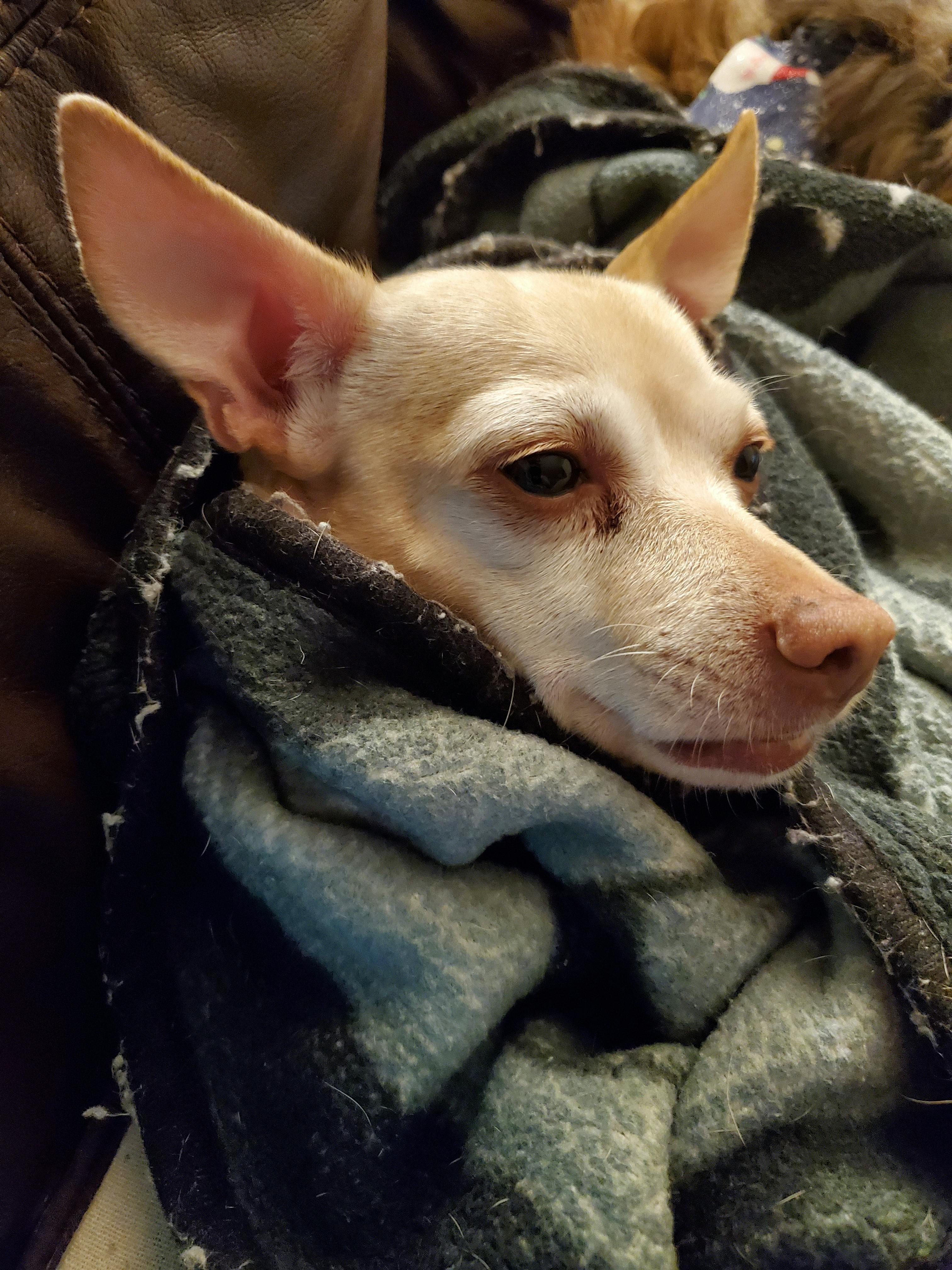 user avatar image for PurplPupkin05