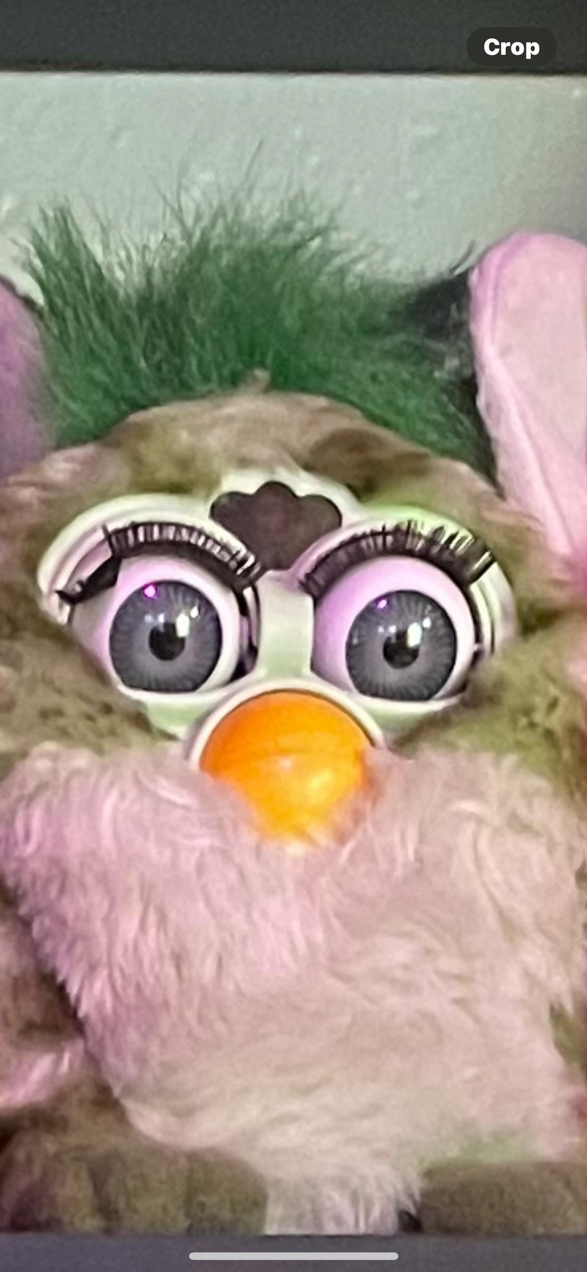 user avatar image for Mae