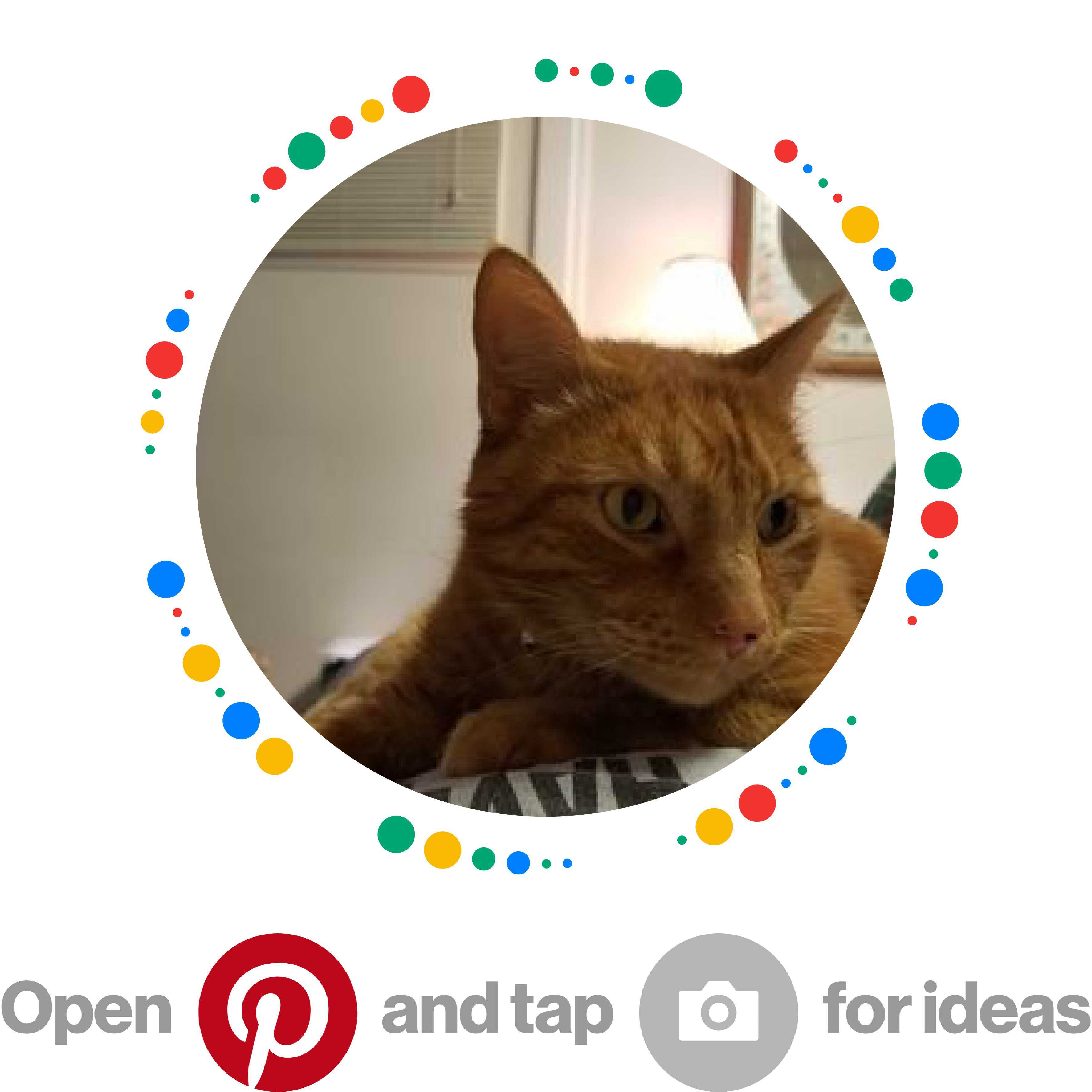 user avatar image for BETH008