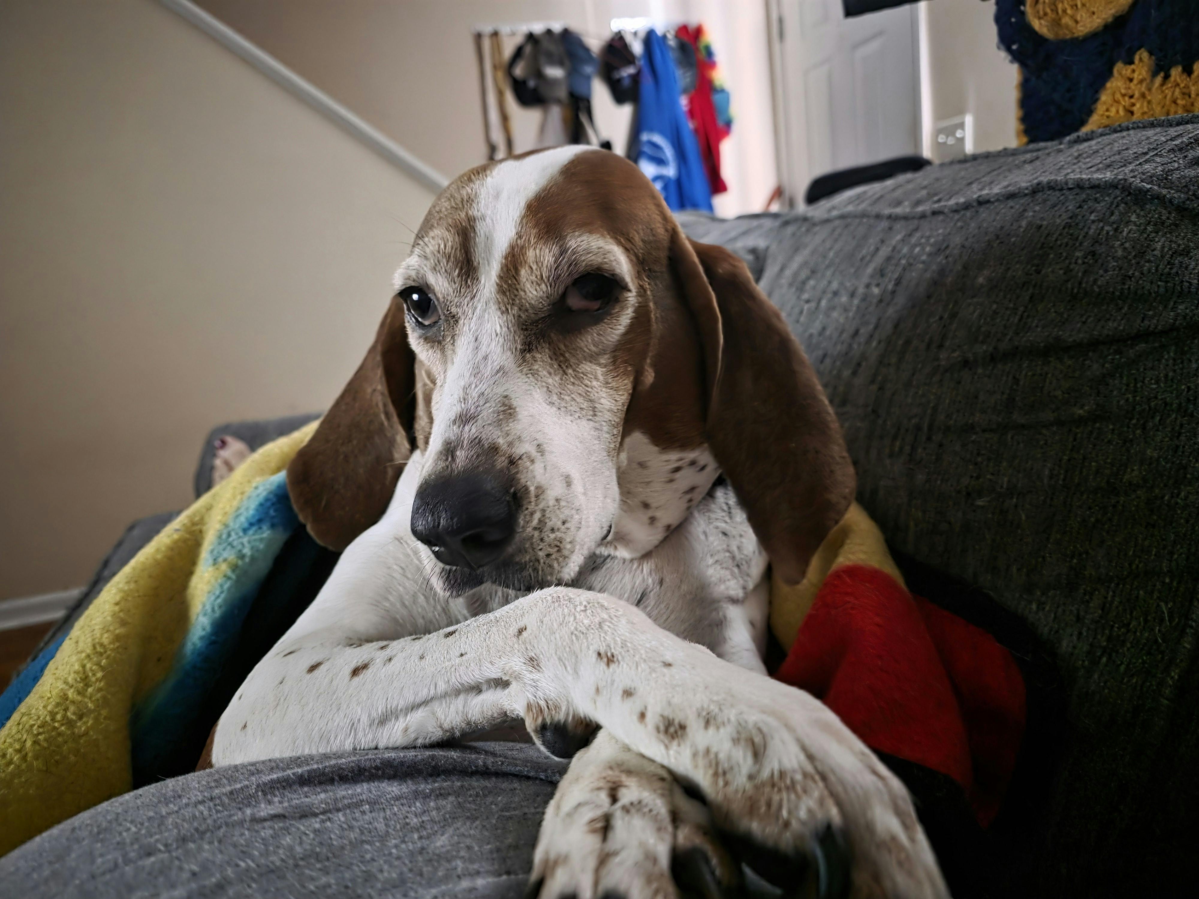 user avatar image for Cameron Brady