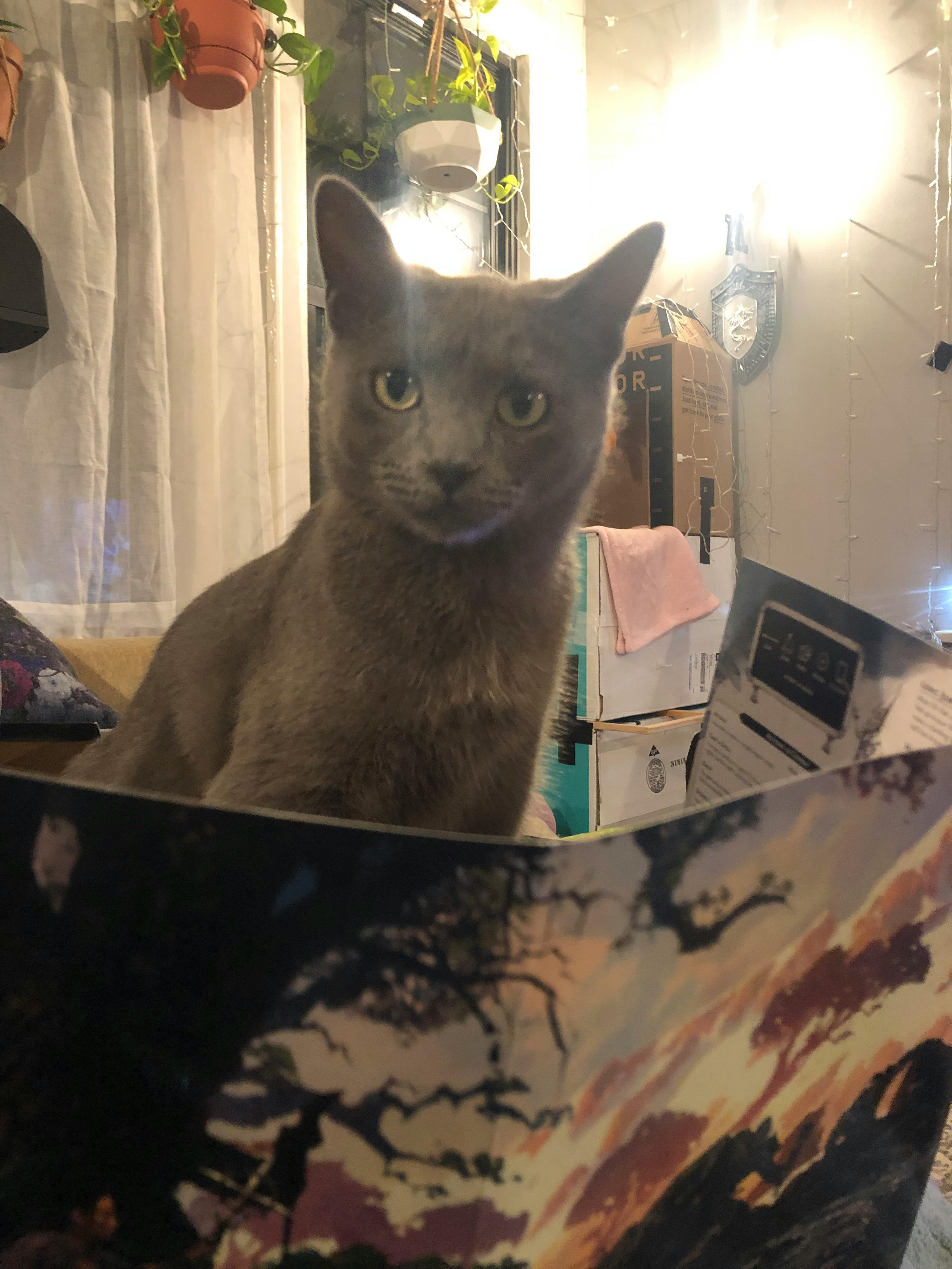 user avatar image for DynamiteDean