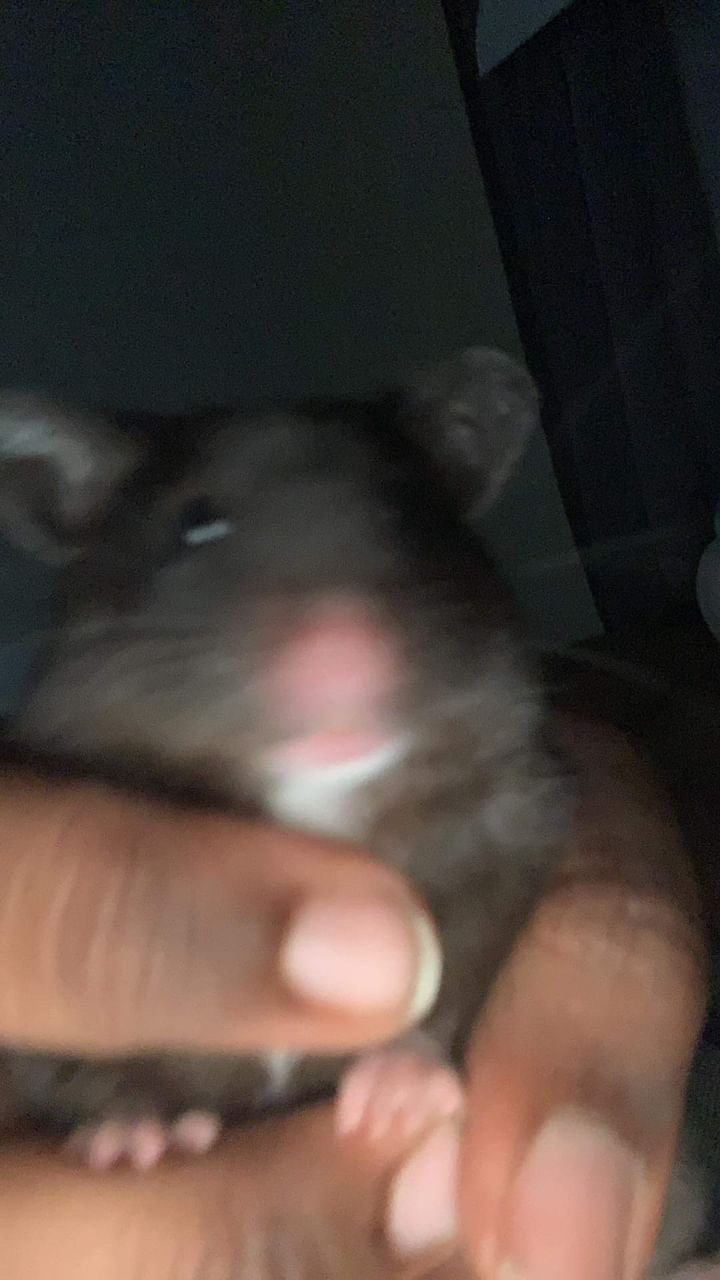 user avatar image for Tuyshi 