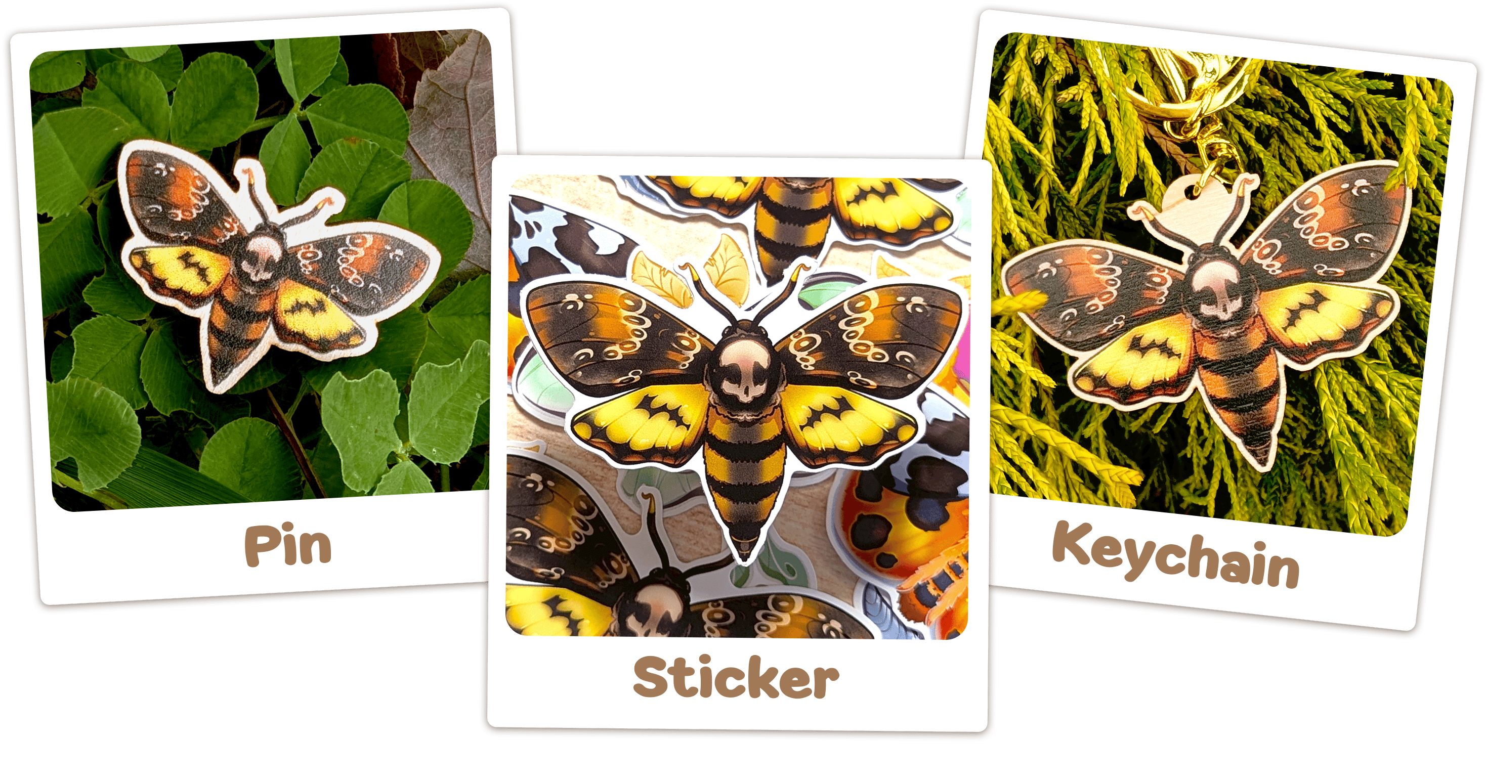 🌙 Matching Moths - Death's-Head 🌙