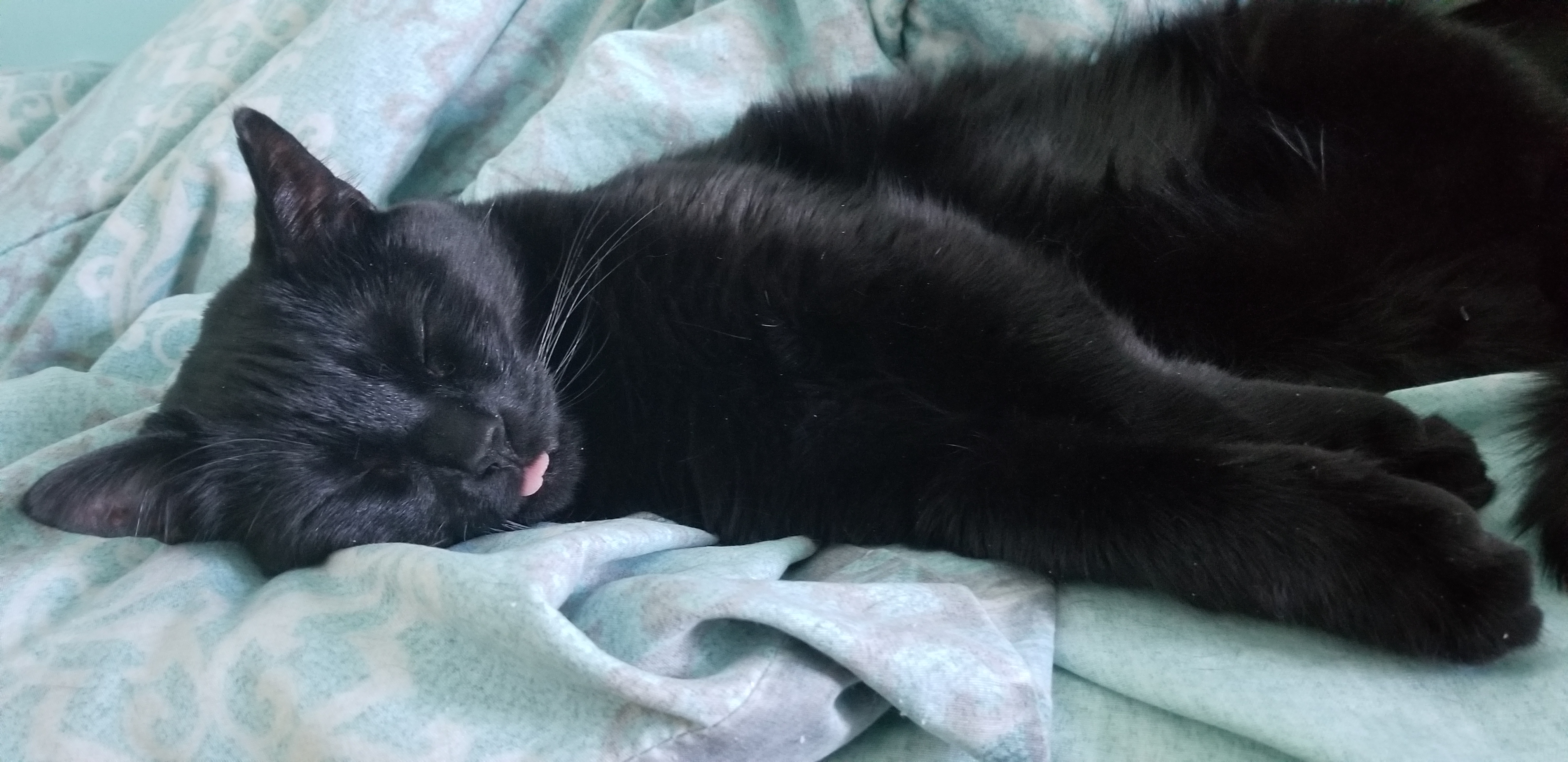 user avatar image for Chaotic Eggie