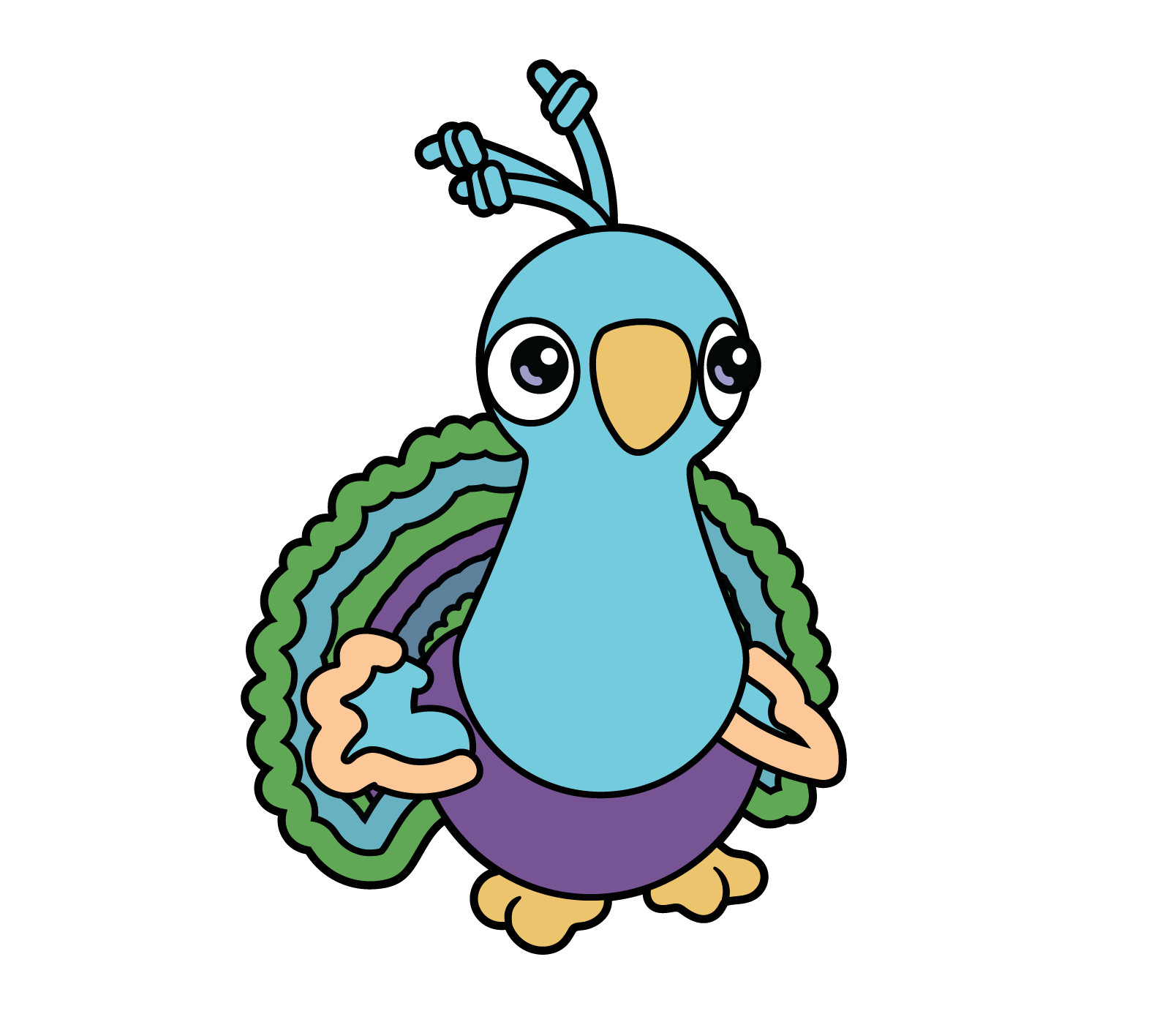 D - Pavo the Peacock