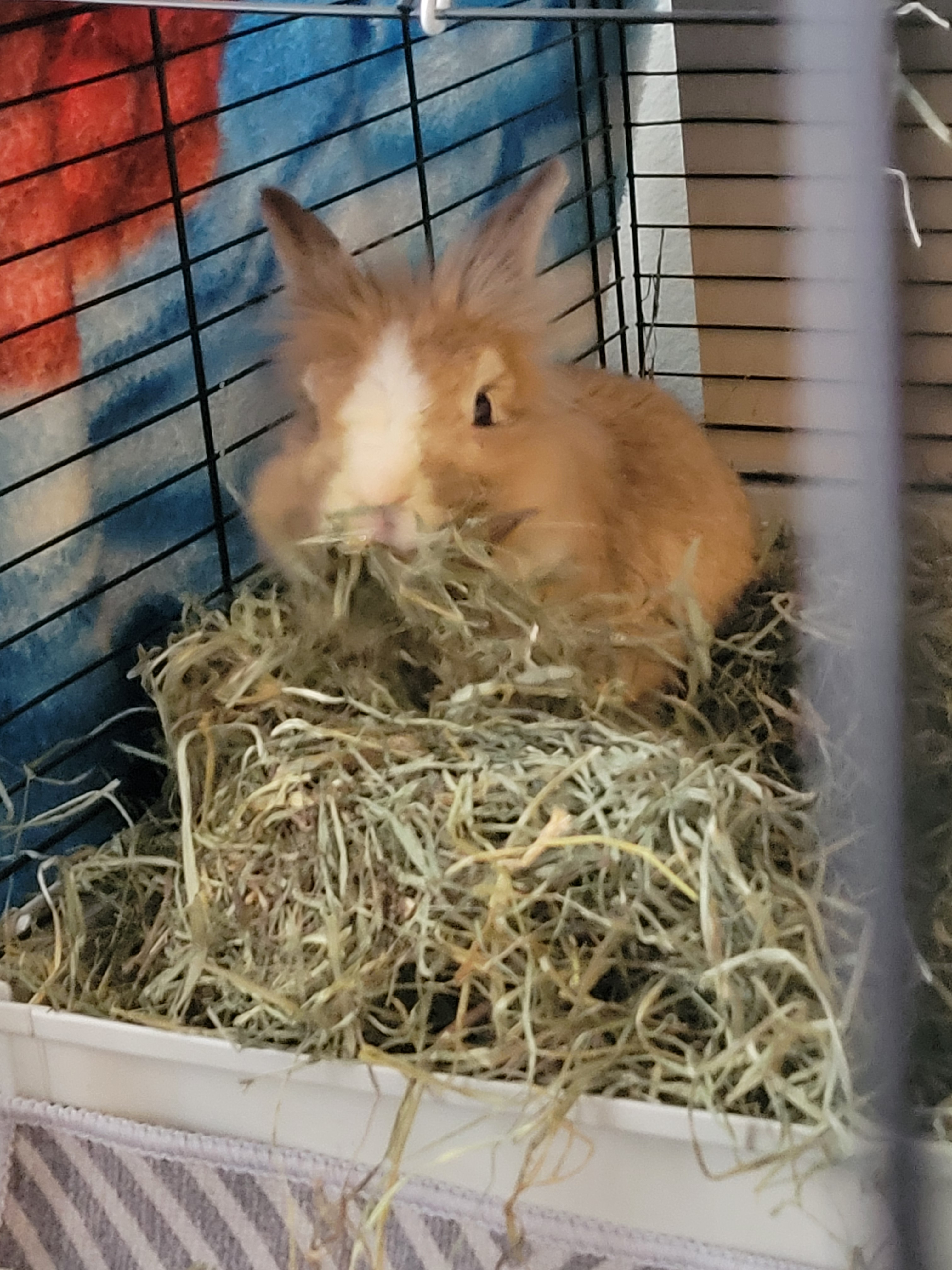 user avatar image for Scribbs