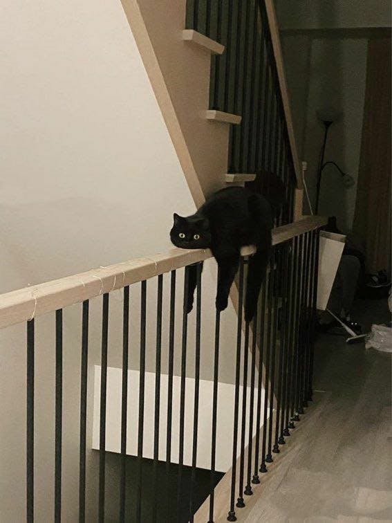 user avatar image for LiLina