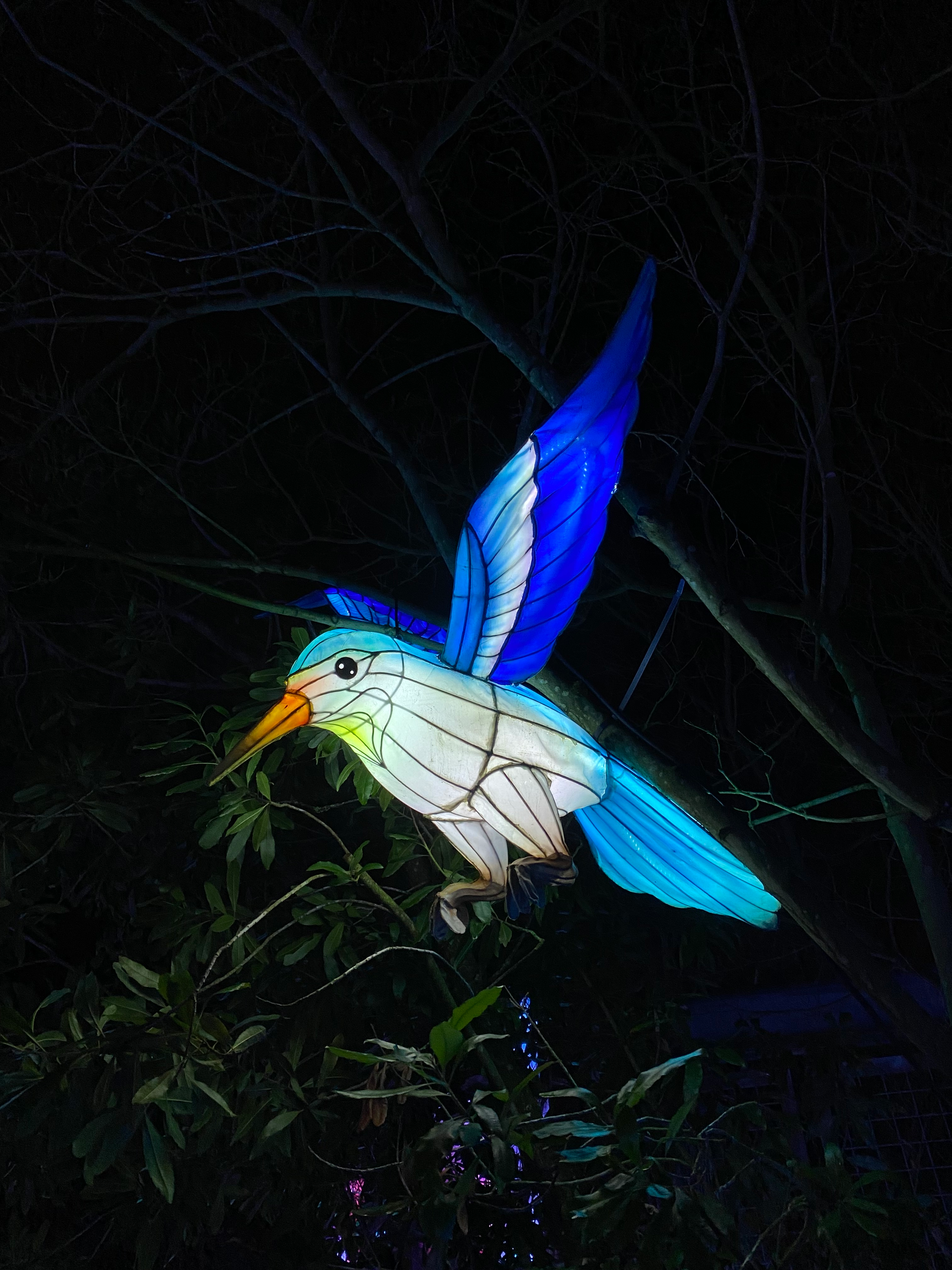 user avatar image for Irene