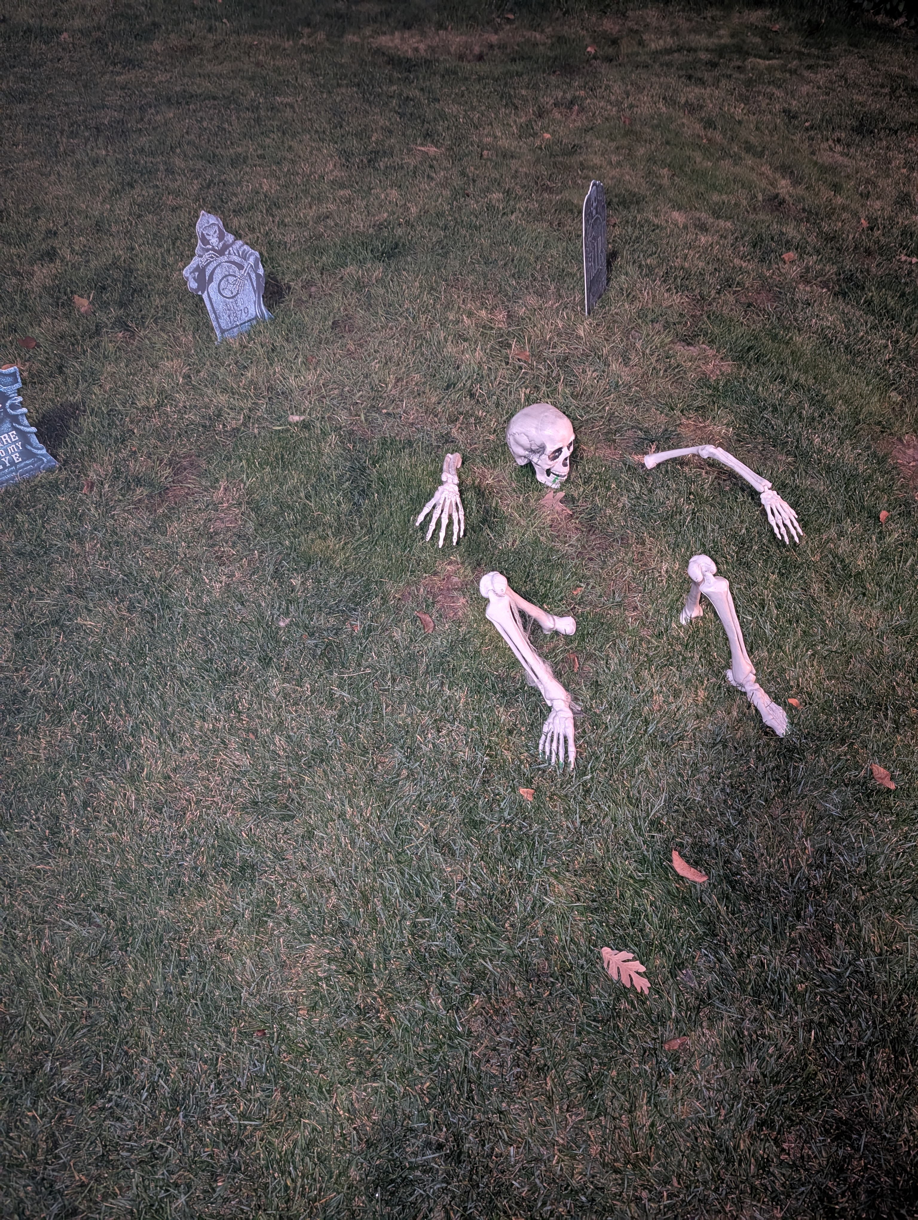 user avatar image for Benjamin