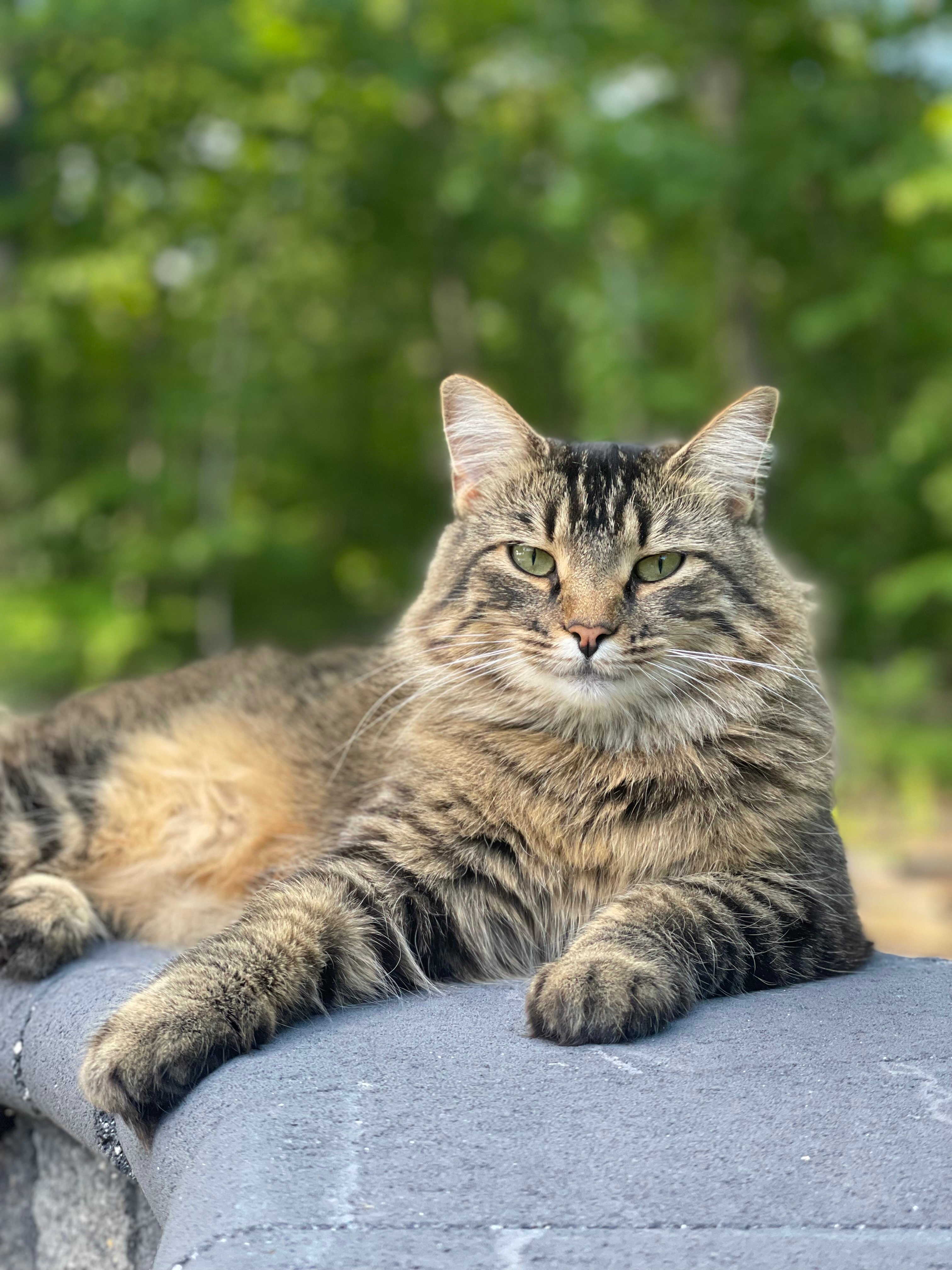 user avatar image for Jason