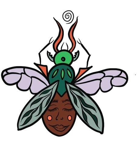 Fairy Beetle